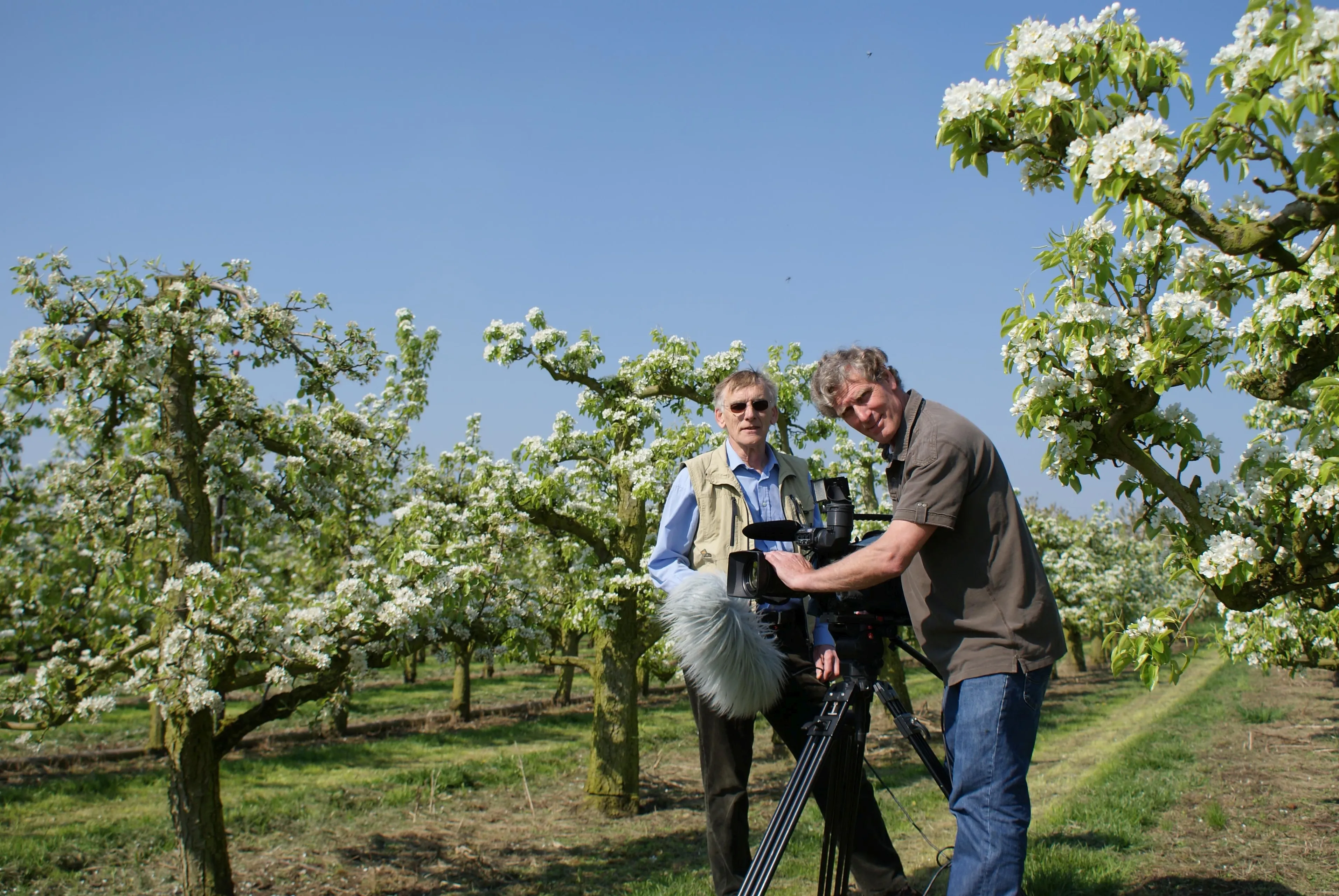 fruitboom jos en geert