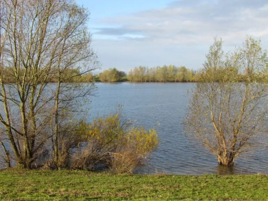 img 5863 1 scaled e1675252469481