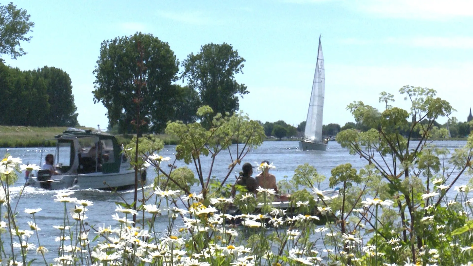 maas zeilboot