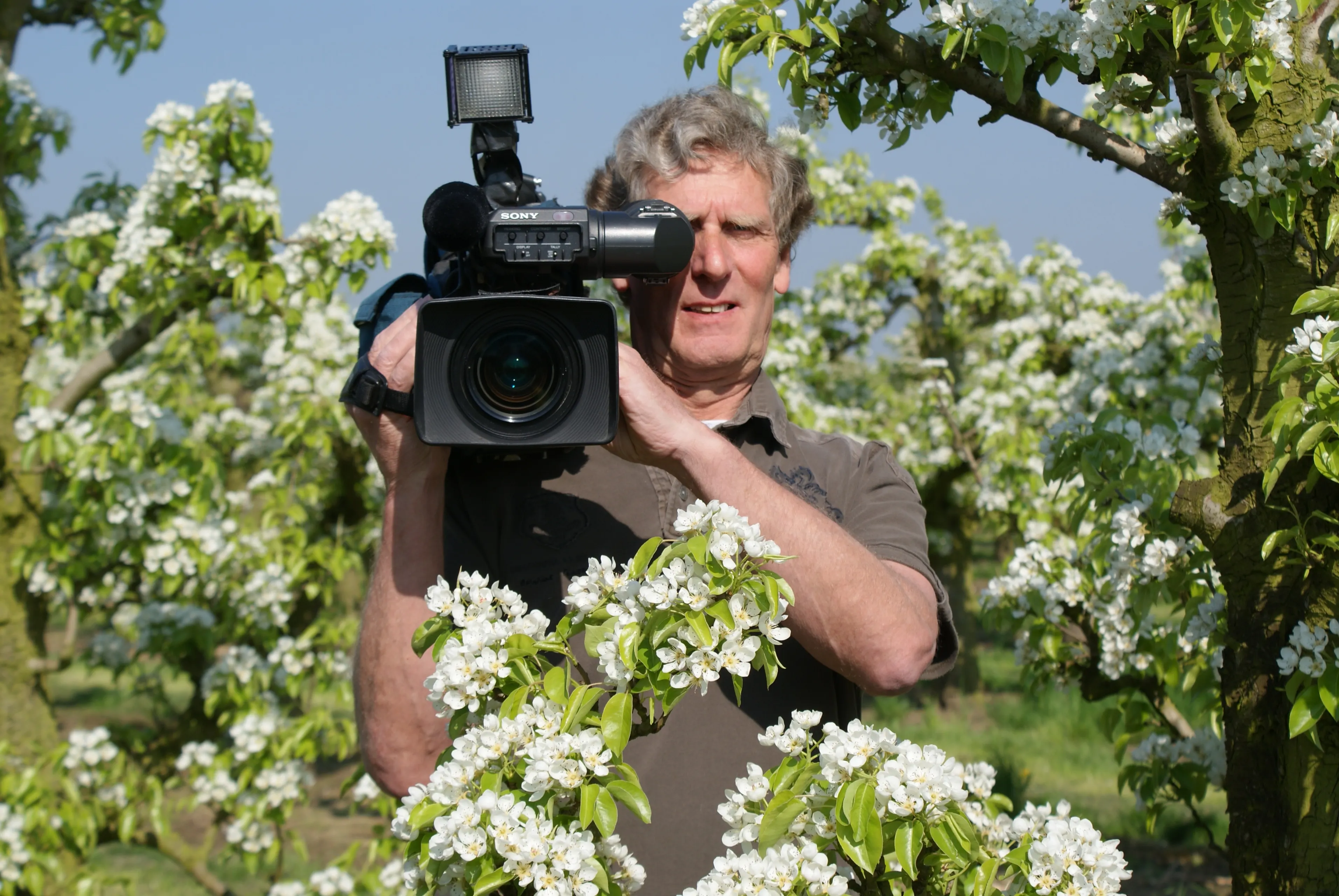 mooi jos camera bloesem dsc00058 1