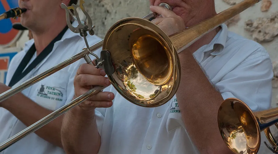 musician 1627208 960 720