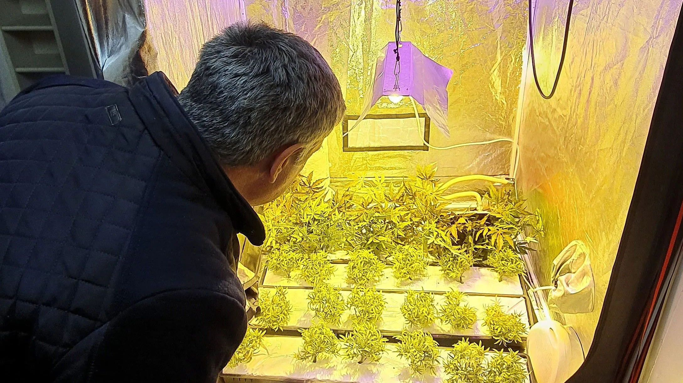 ondermijningsavond raadsleden gemeenten tweestromenland 2 e1583876864302