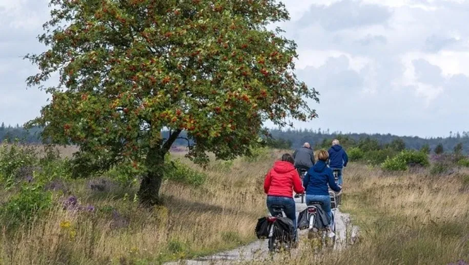 people 4554681 640 915x518