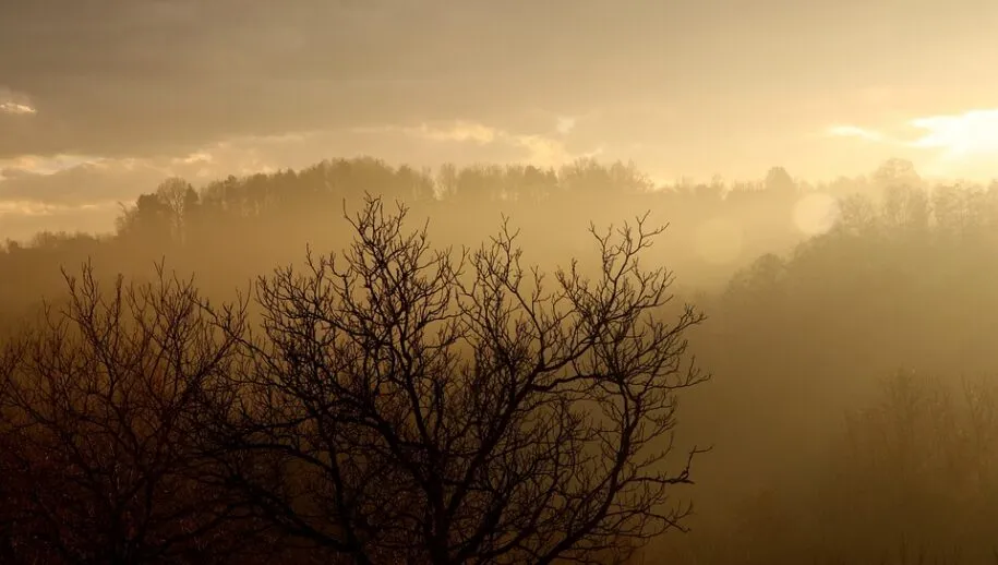 smog 5930648 960 720 915x518 1