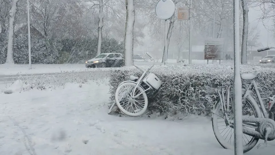 sneeuw reinier jansen