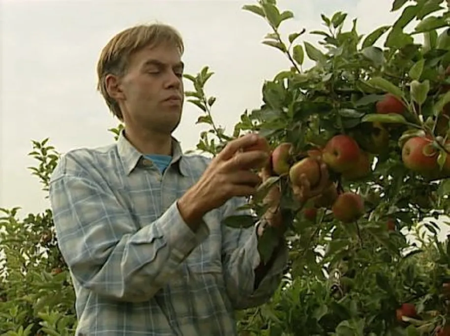 thijs banken biologische fruitteler