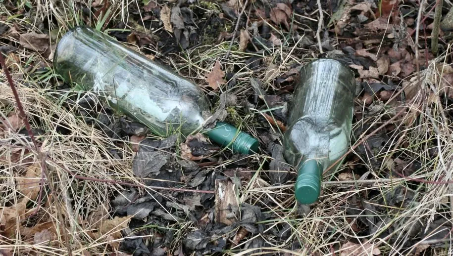 zwerfafval flessen manfred antranias zimmer via pixabay cc0 915x518