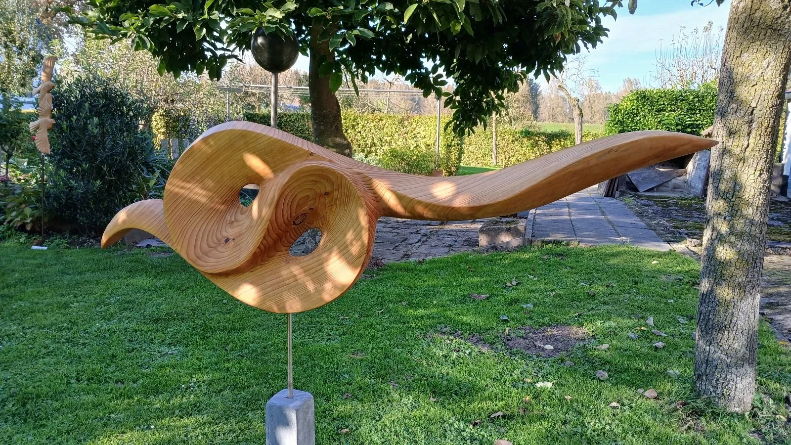 whatsapp image 2024 10 07 at 115609