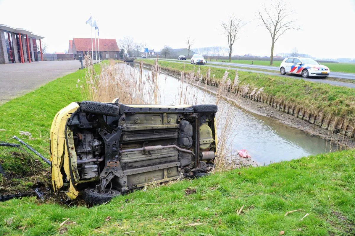 f8e606dd 4917 4776 a157 f66abb9e64d2