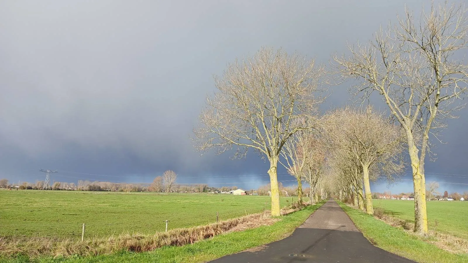 WhatsApp Image 2025-12-06 at 10.39.15