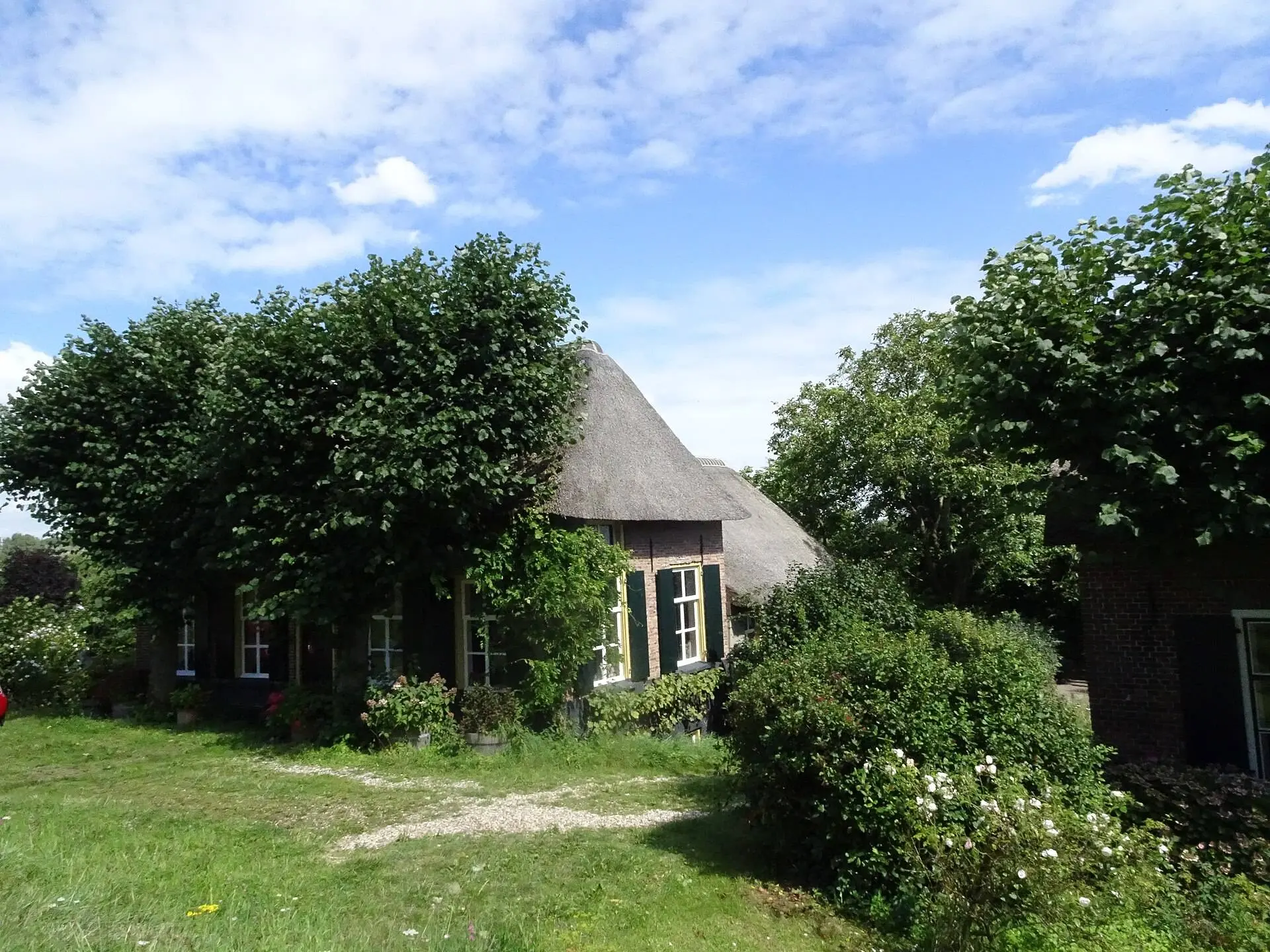 T-Boerderij_Dreumel_2023-08-12