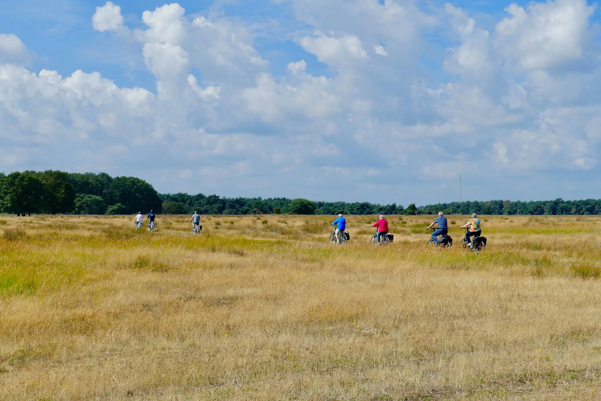 bicycle gd6189624e 1920