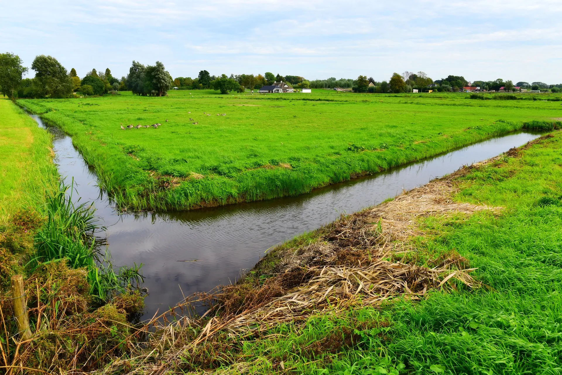 ditch g05c316ac8 1920