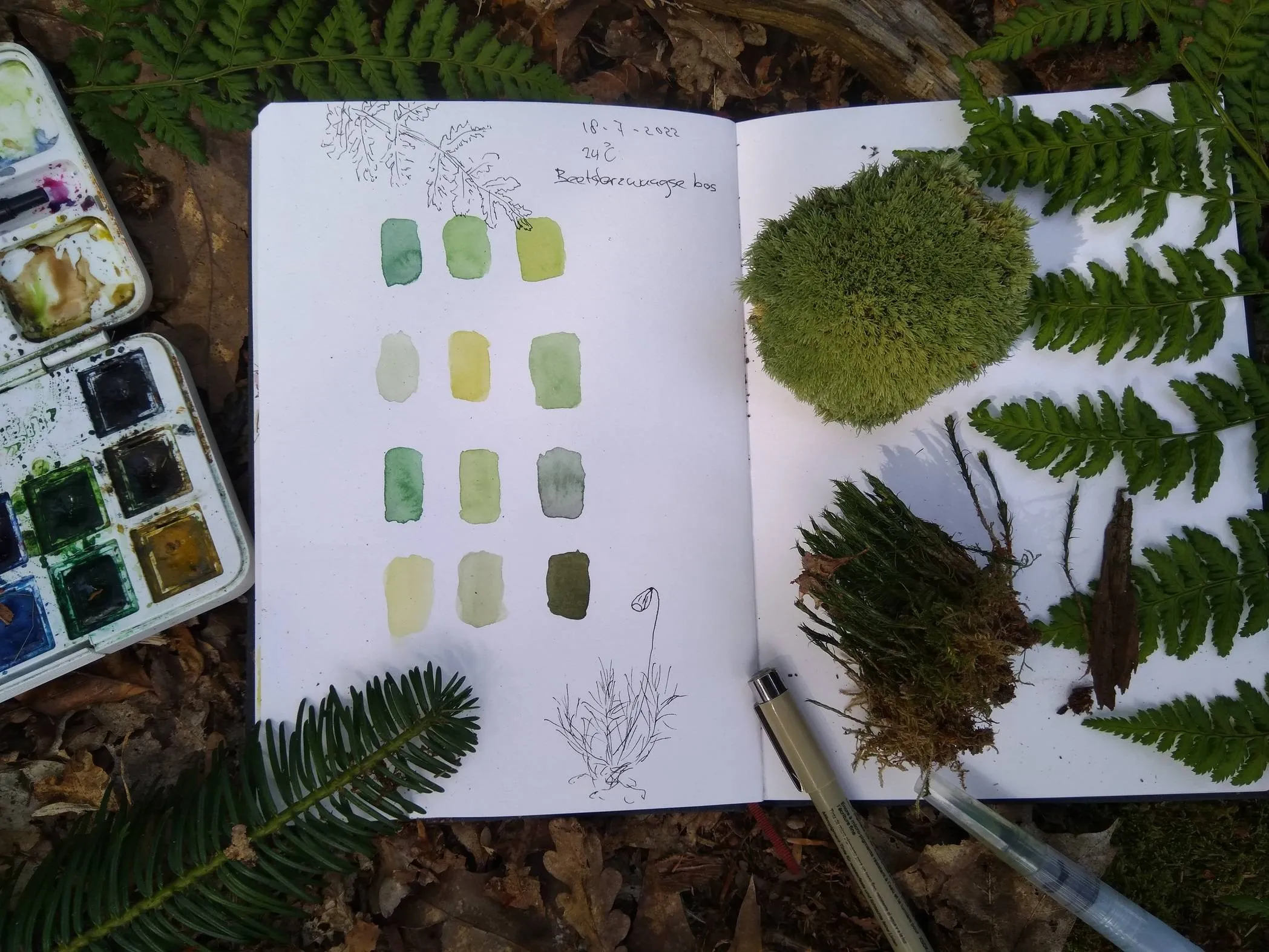 drfrw workshop natuurjournalen kleuren groen