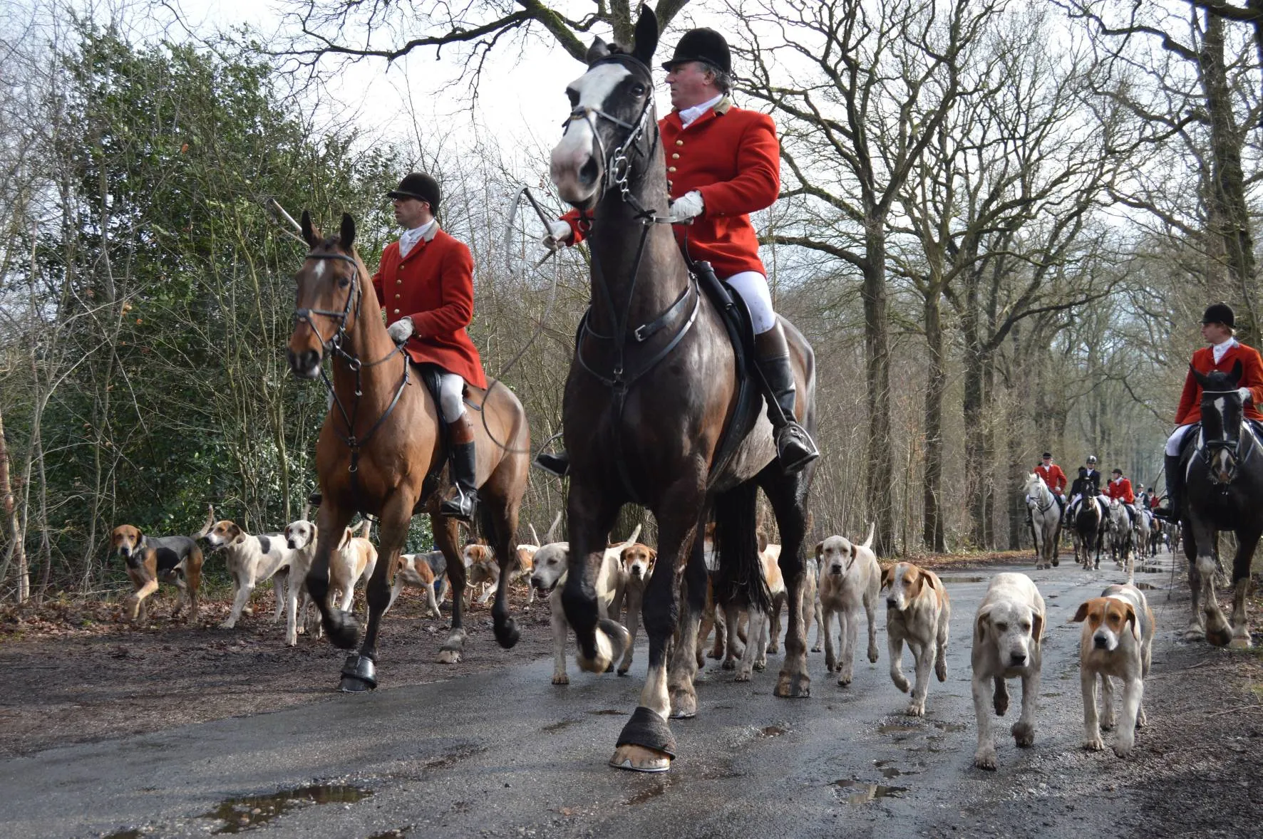 pn 21022015 slipjacht de wijk2