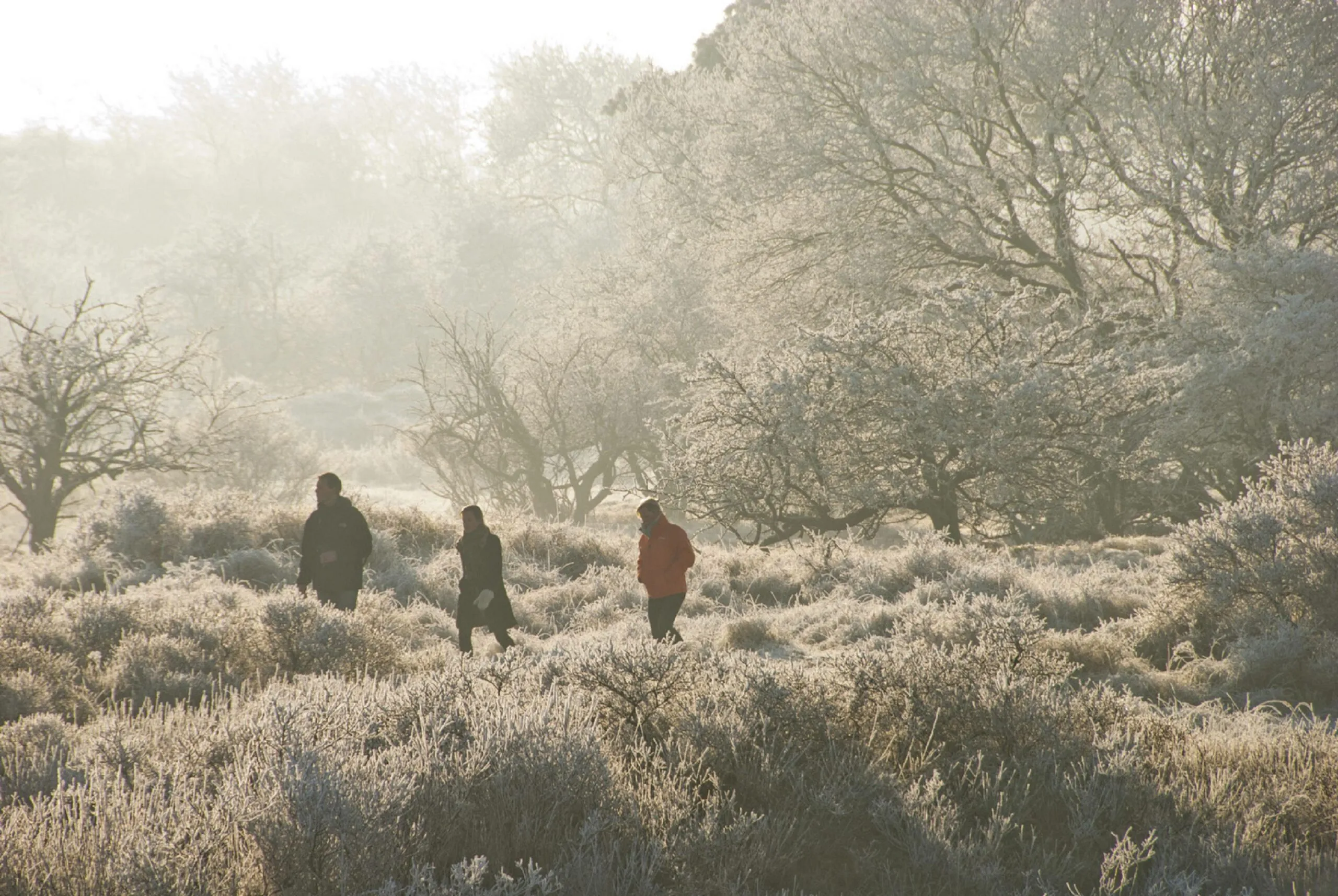 ruinen snertwandeling 1 rene koster scaled