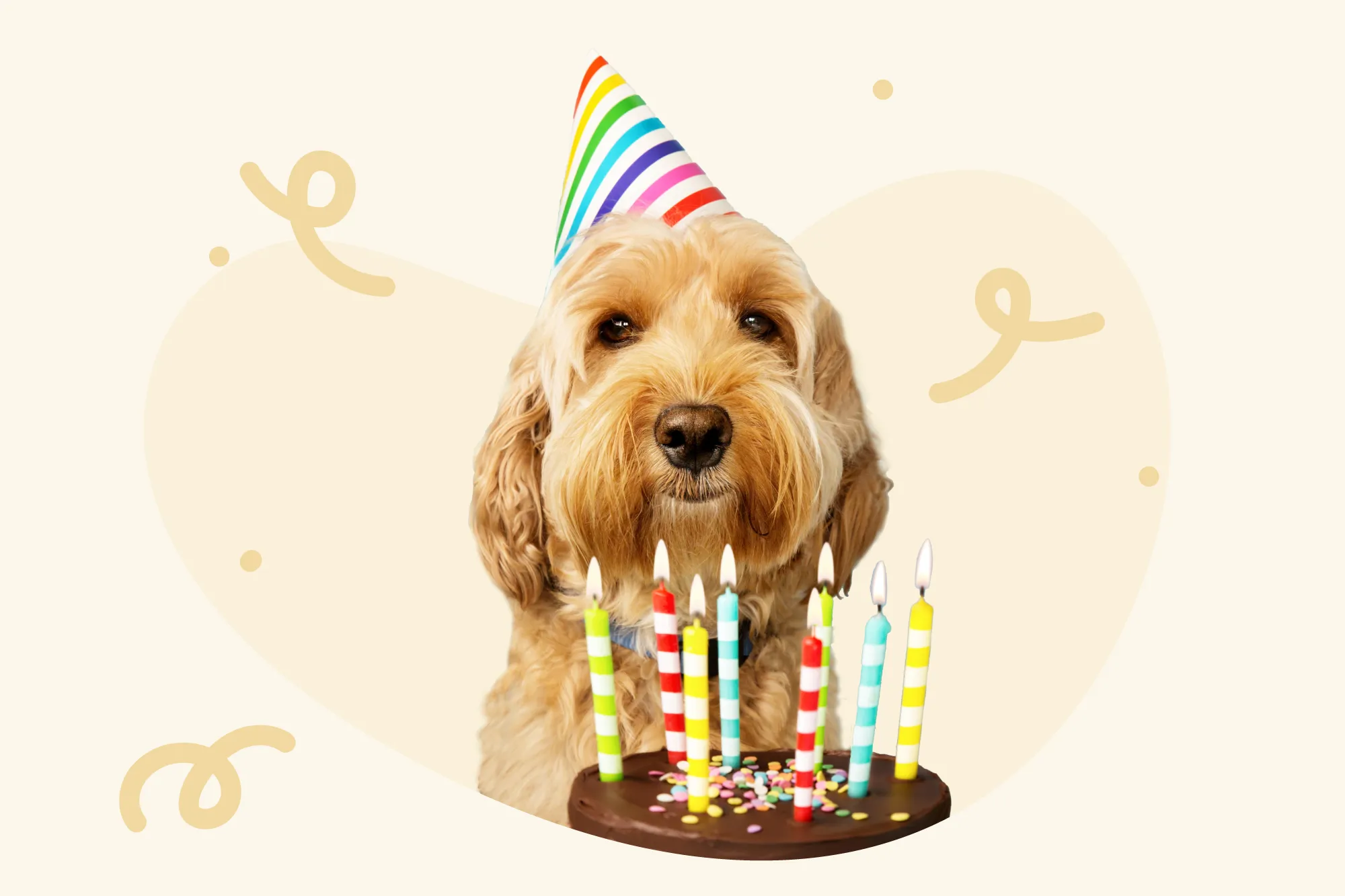 dr rechtenvrije afbeelding kaartje2go