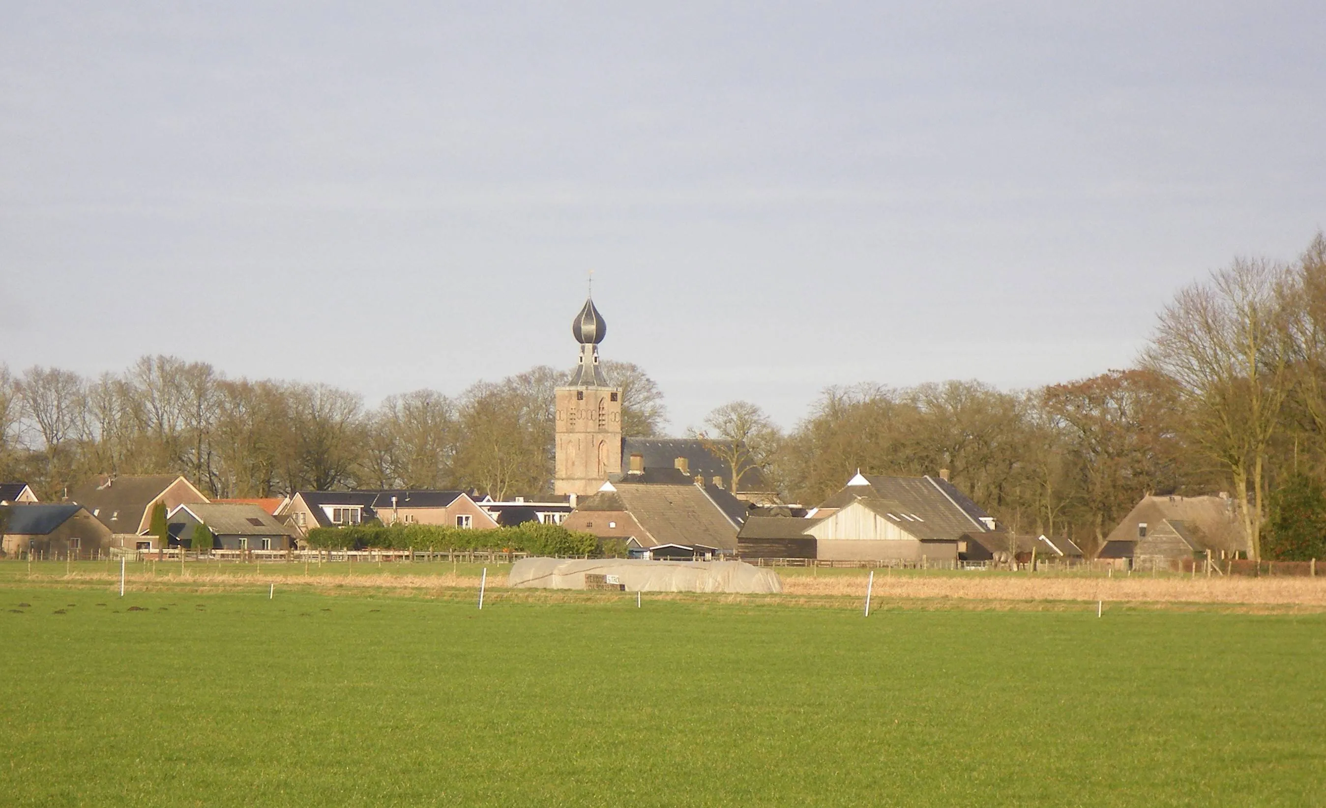 dwingeloo winterwandeling