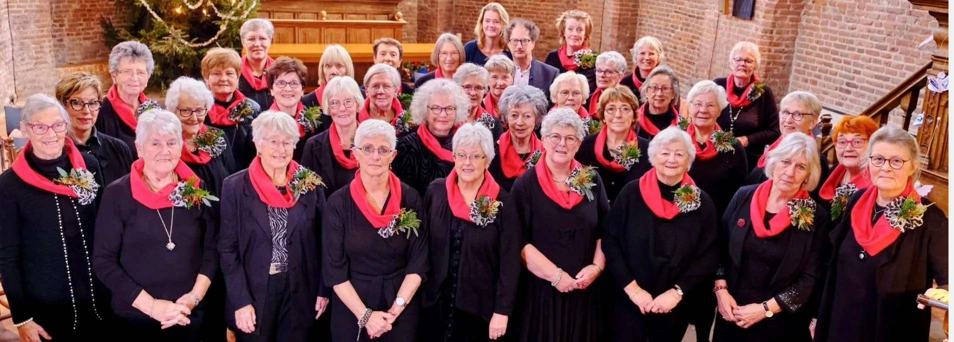 havelte liesterkrallen