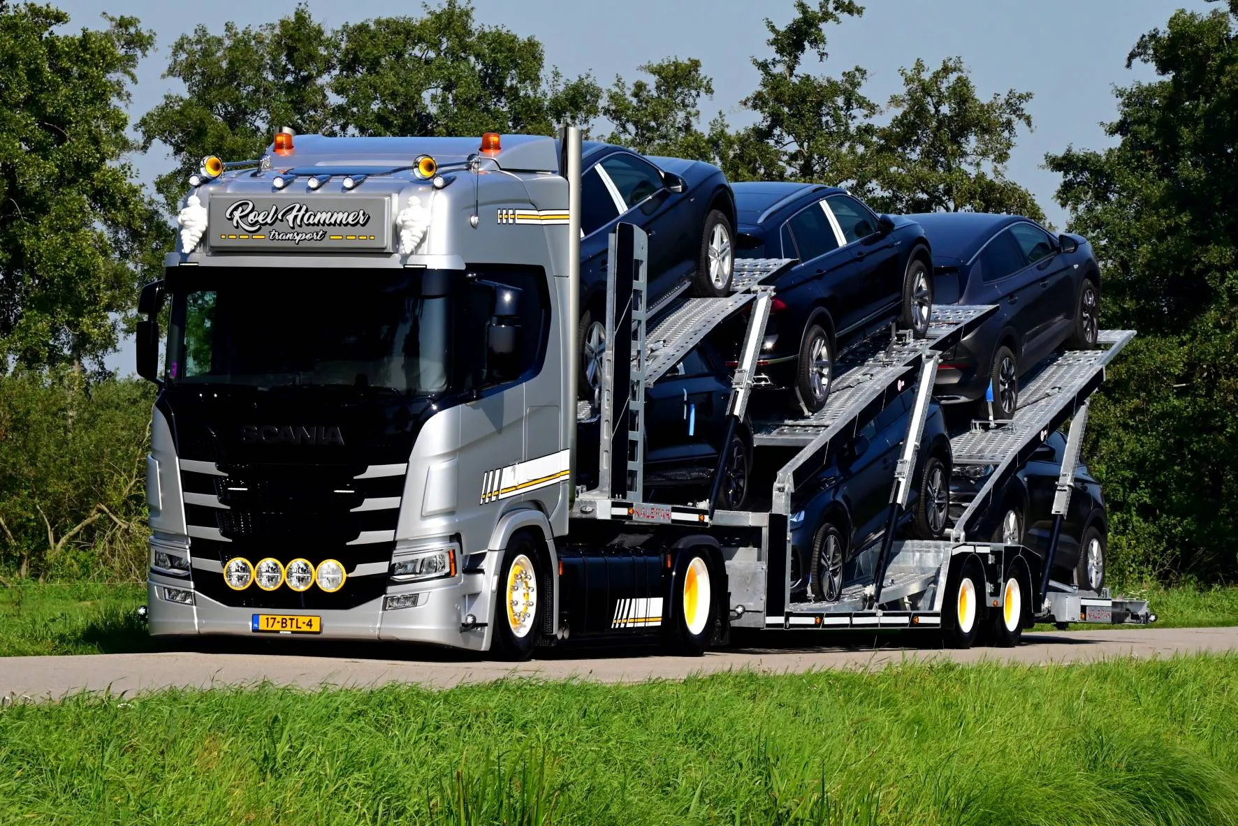 mep cat 7 roel hammer rechts