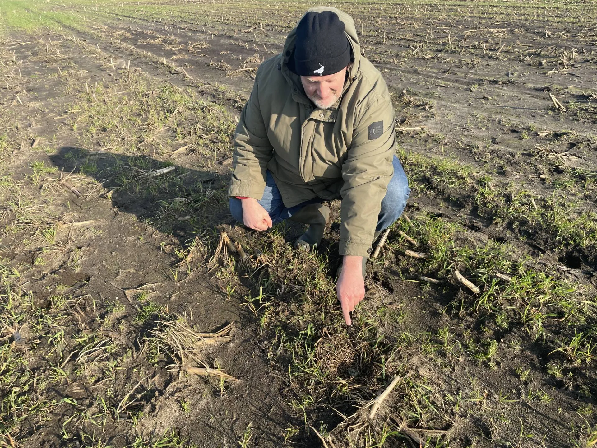 nijeveen kievitsei herman bus