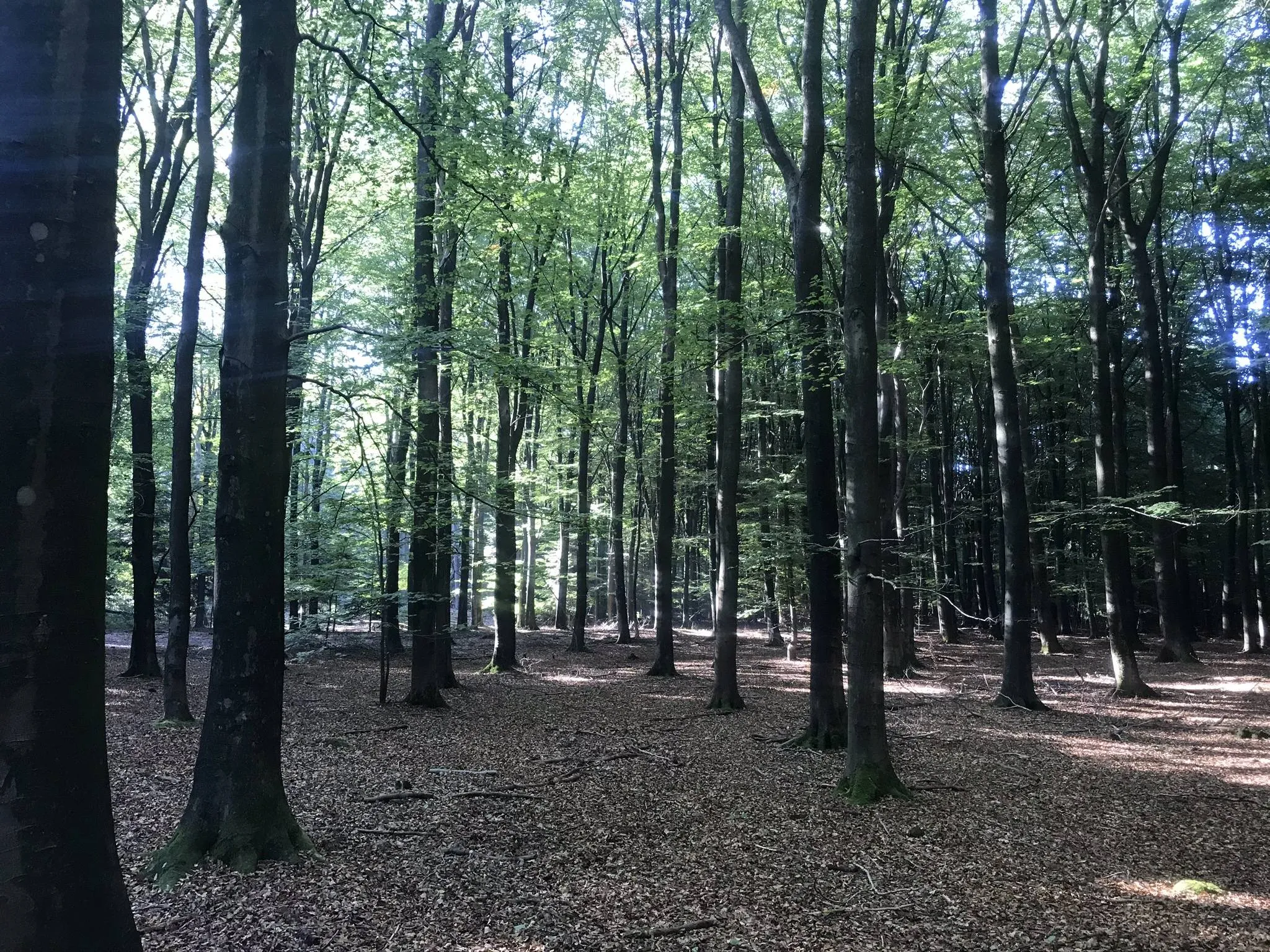 pn natuur dwingeklderveld