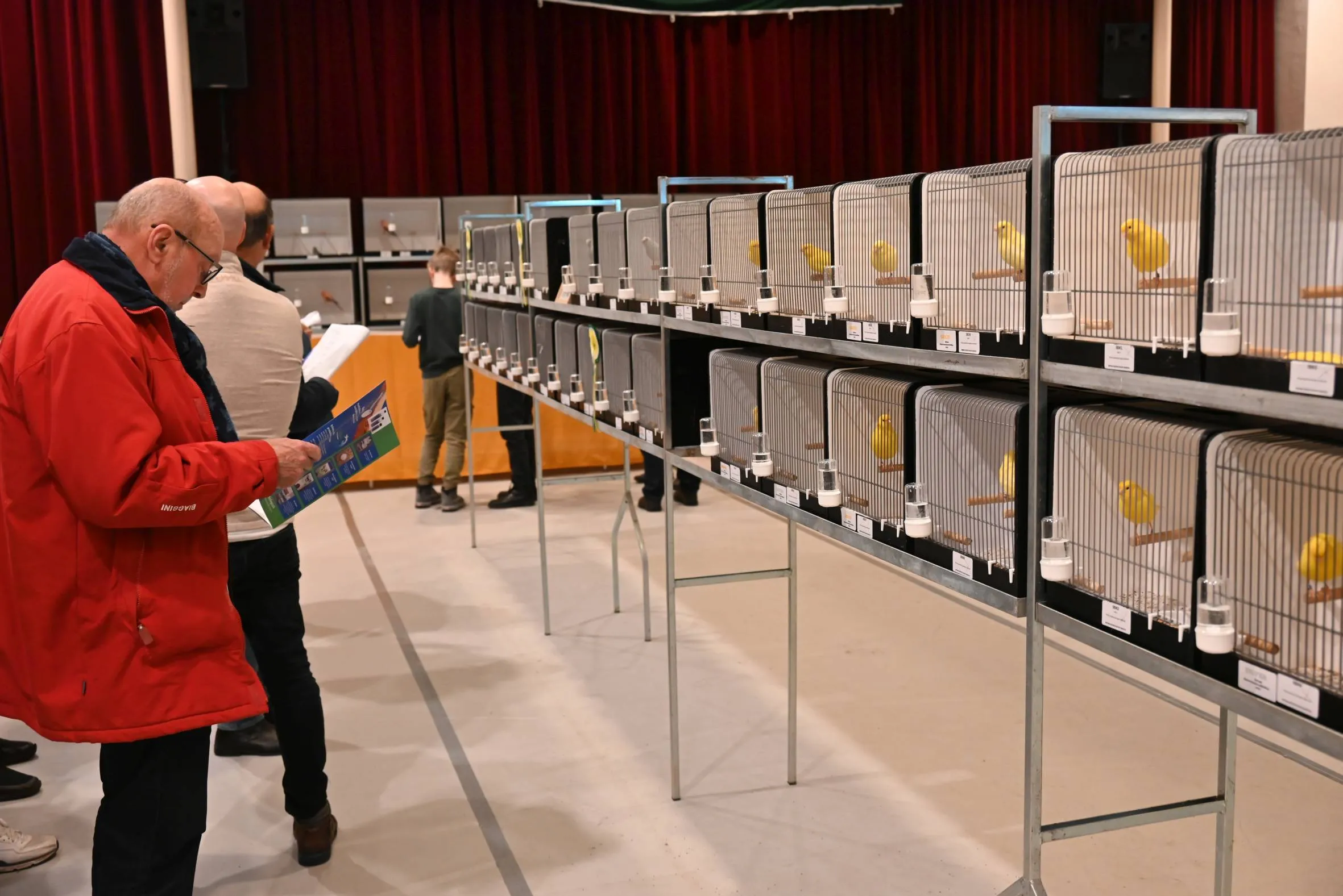 pn14122023 ruinerwold vogelweelde7