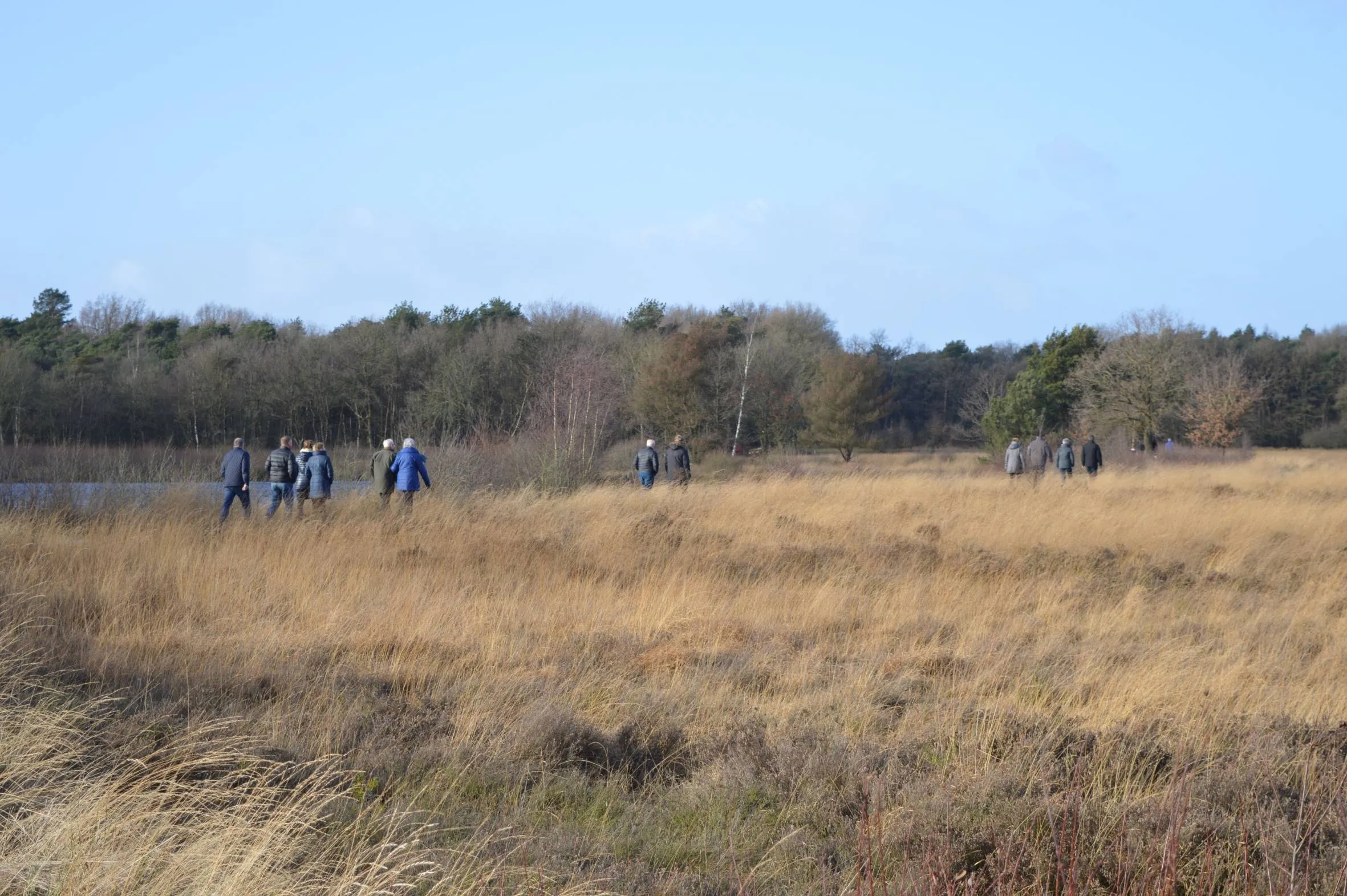 pn26122016 kerstwandeling ruinen3