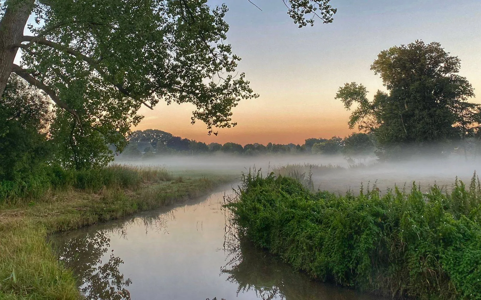 reestdal chantal wachtmeester