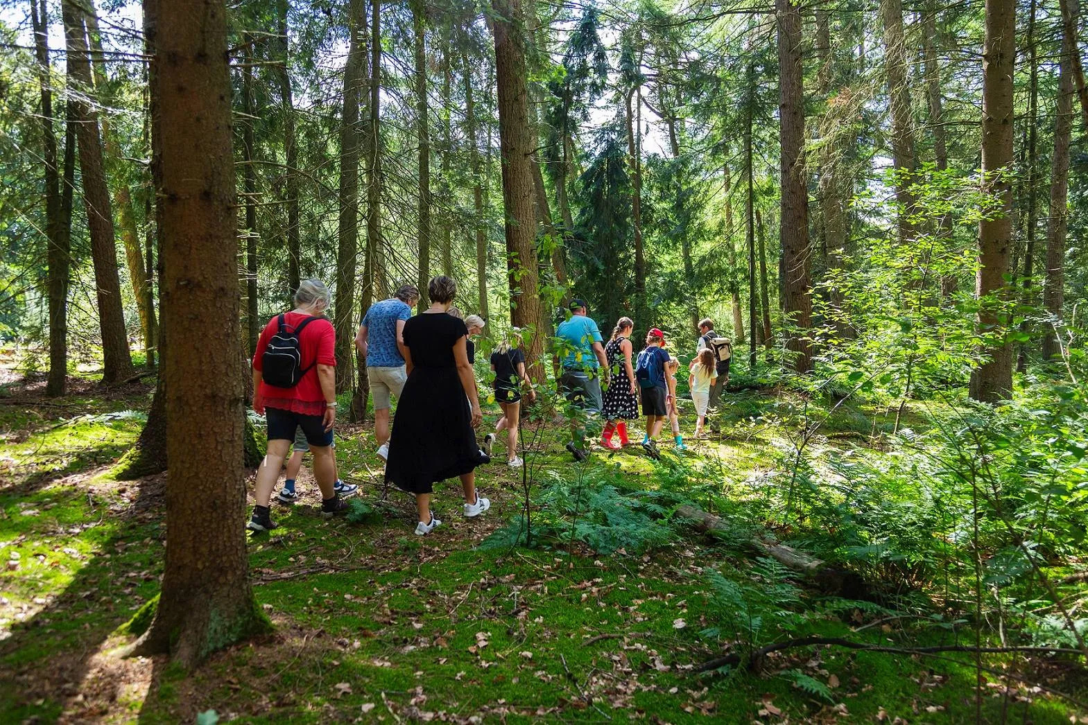 drfrw wild op woensdag lauracsonka