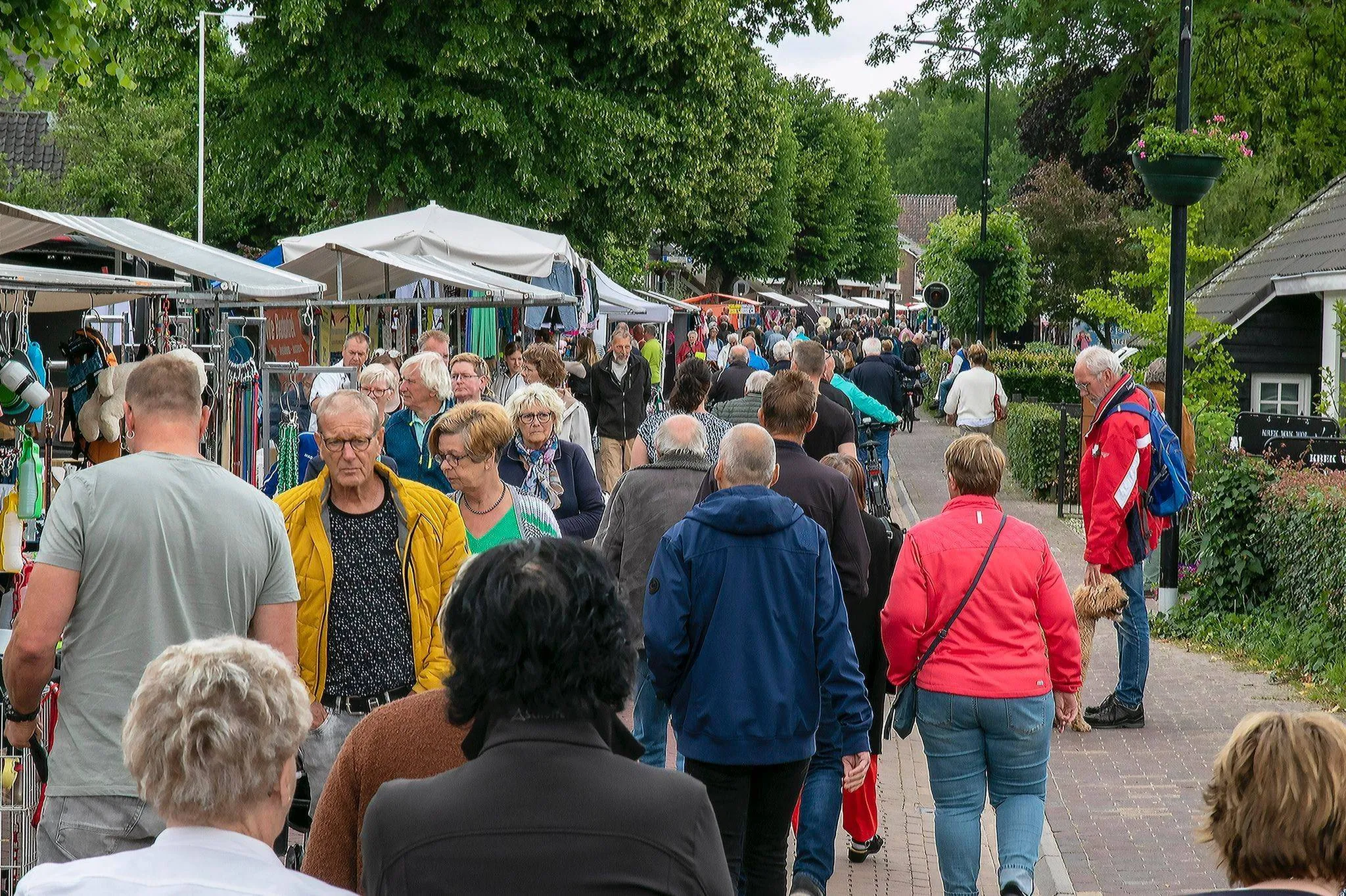 vledder jaarmarkt vledder 1