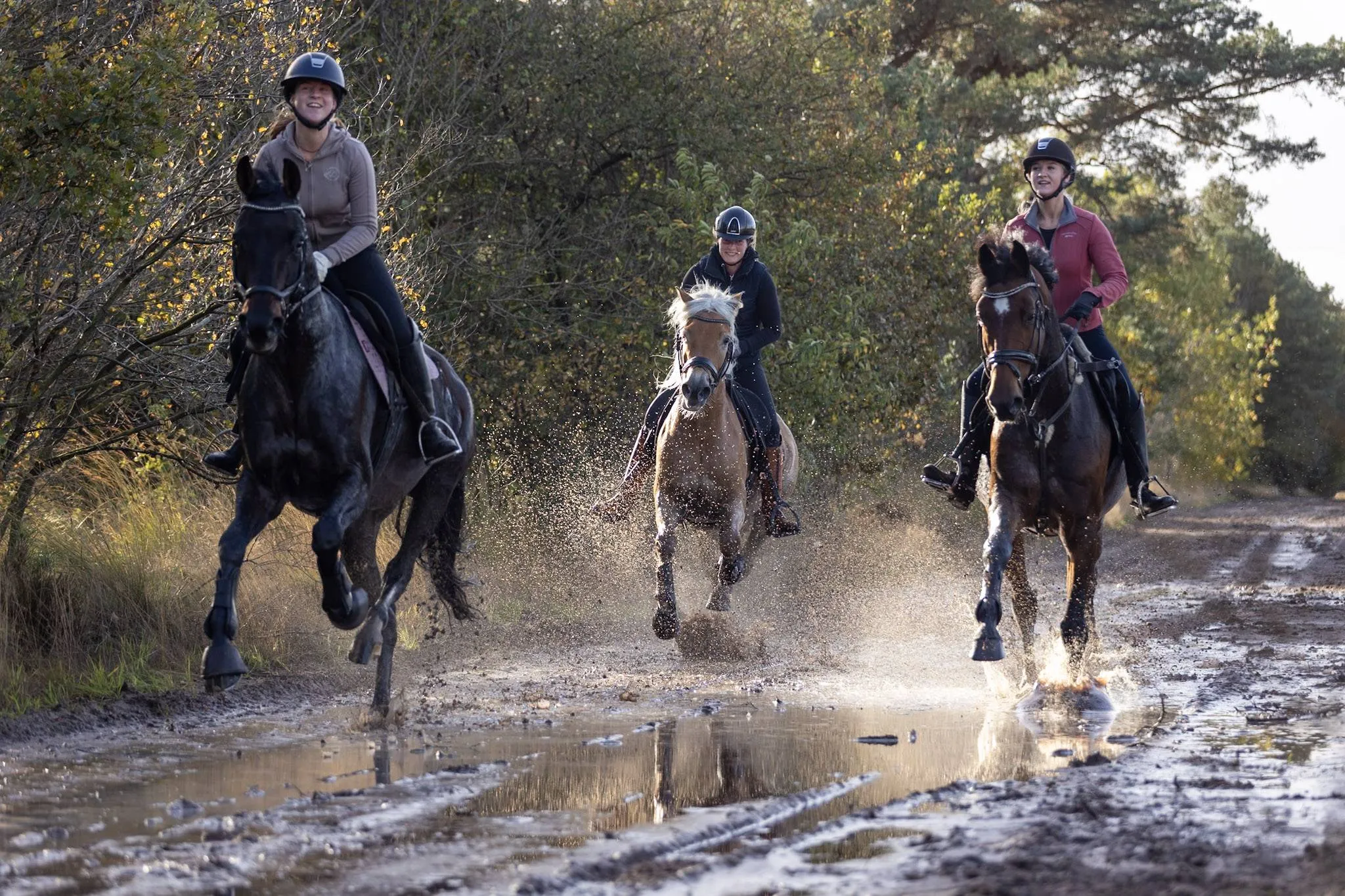 havelte herfstcrossrit2 foto renske en wim van cappellen