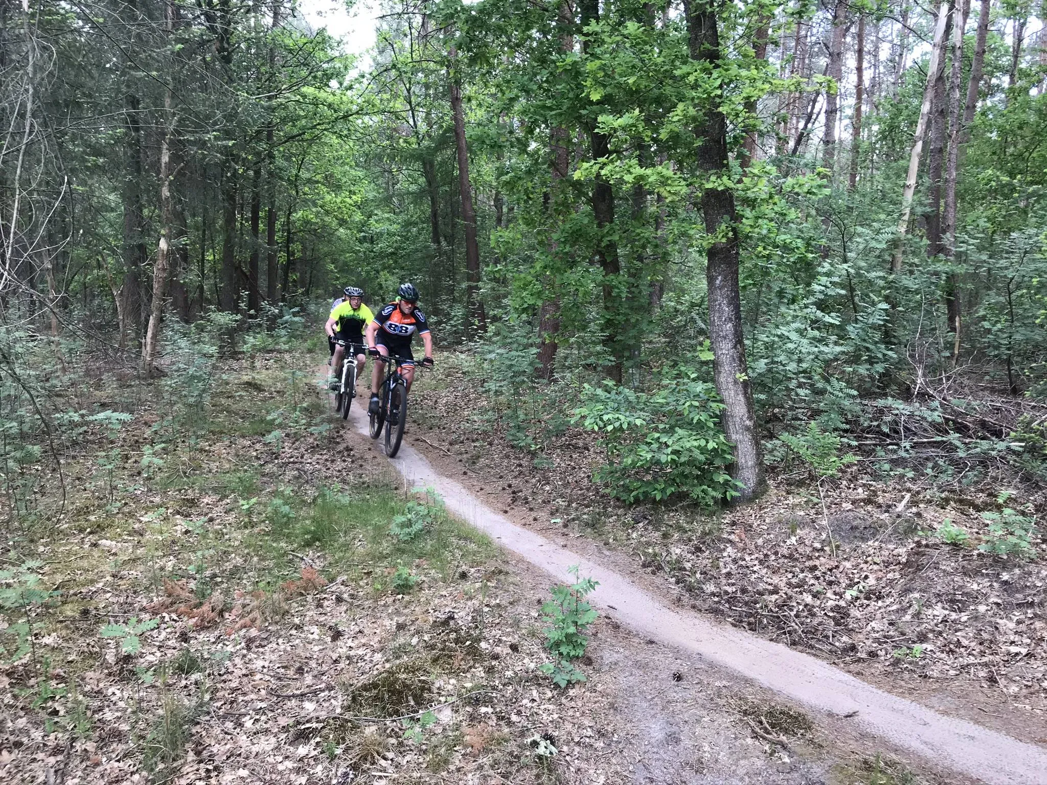 dr mtb routes