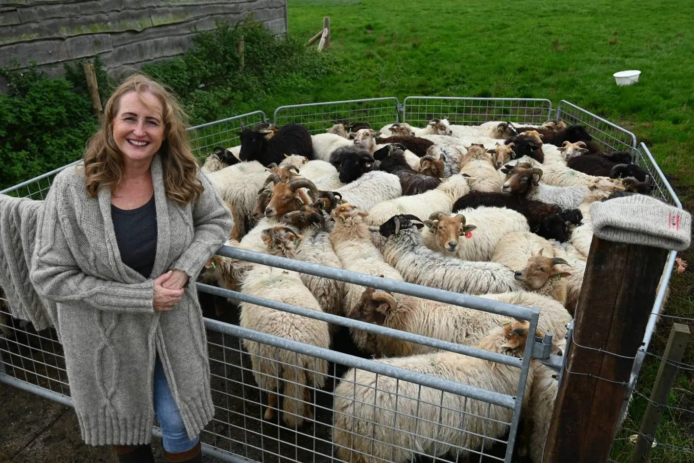 pn21102024 havelte schaapskooi anita trinks1