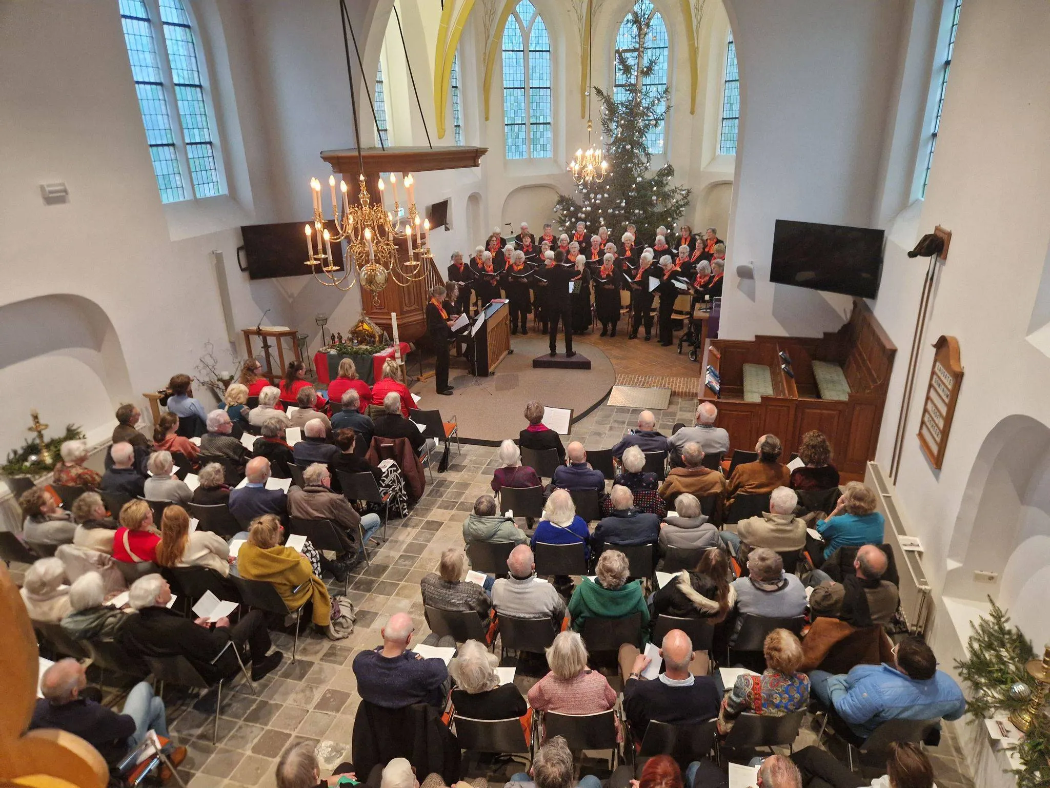 havelte recensie liesterkrallen