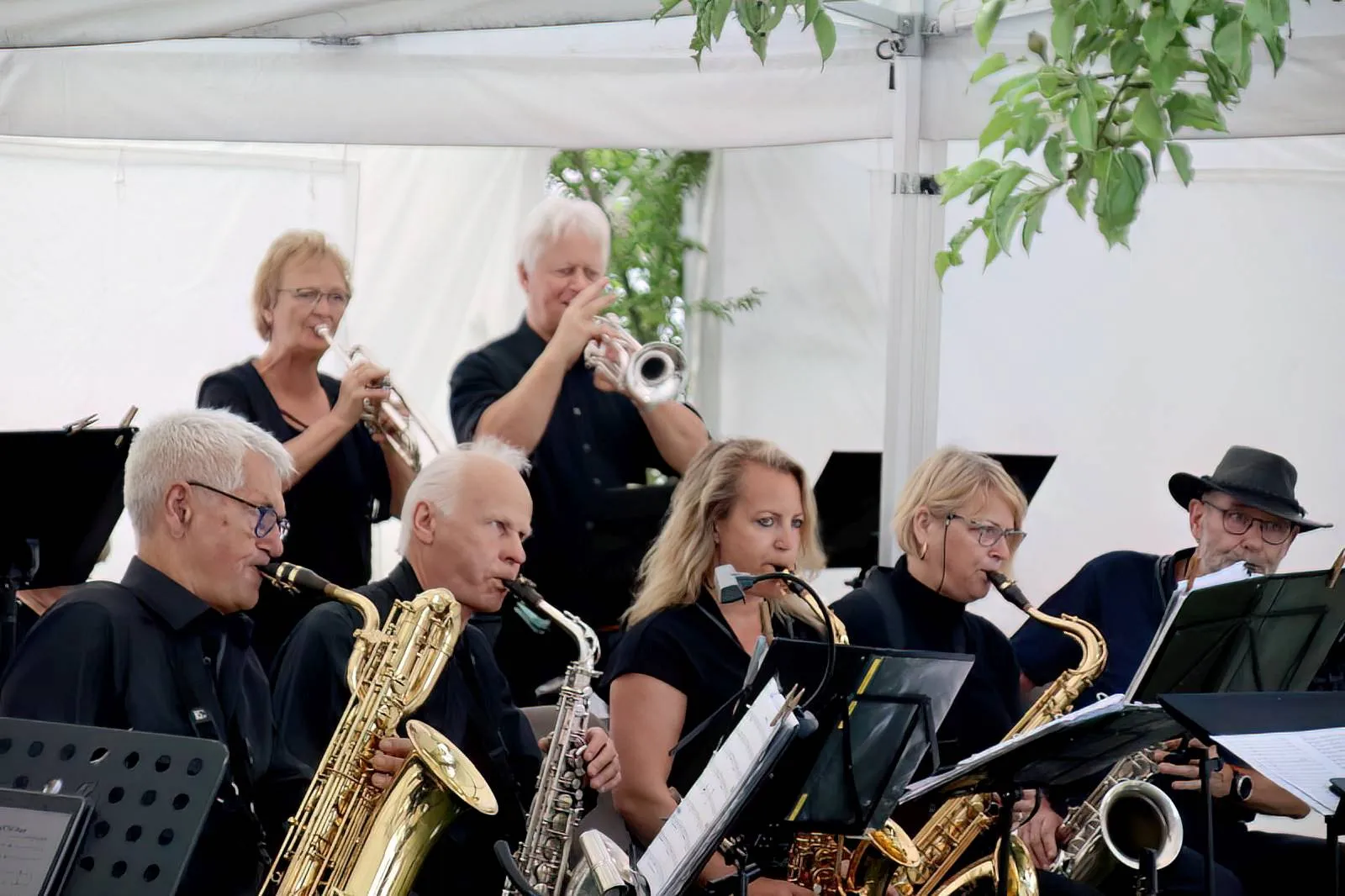 havelte swingband 1 kleur