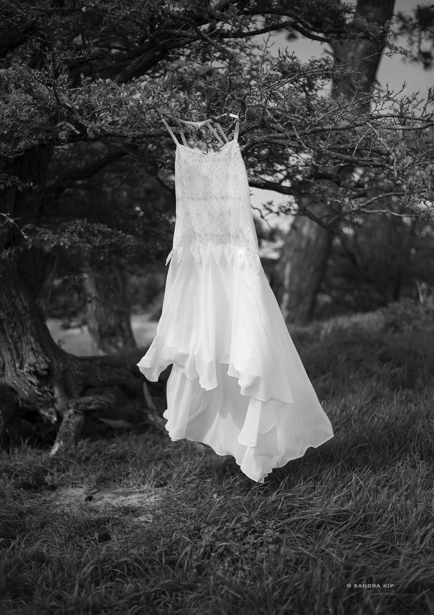 assen kc sandrakip ongebonden dsc0894