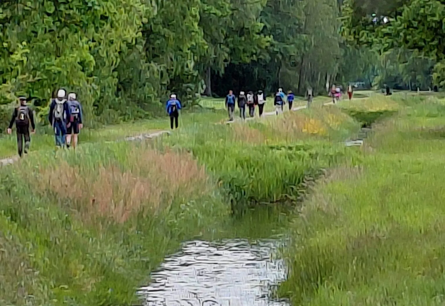 diever drfrw wandel