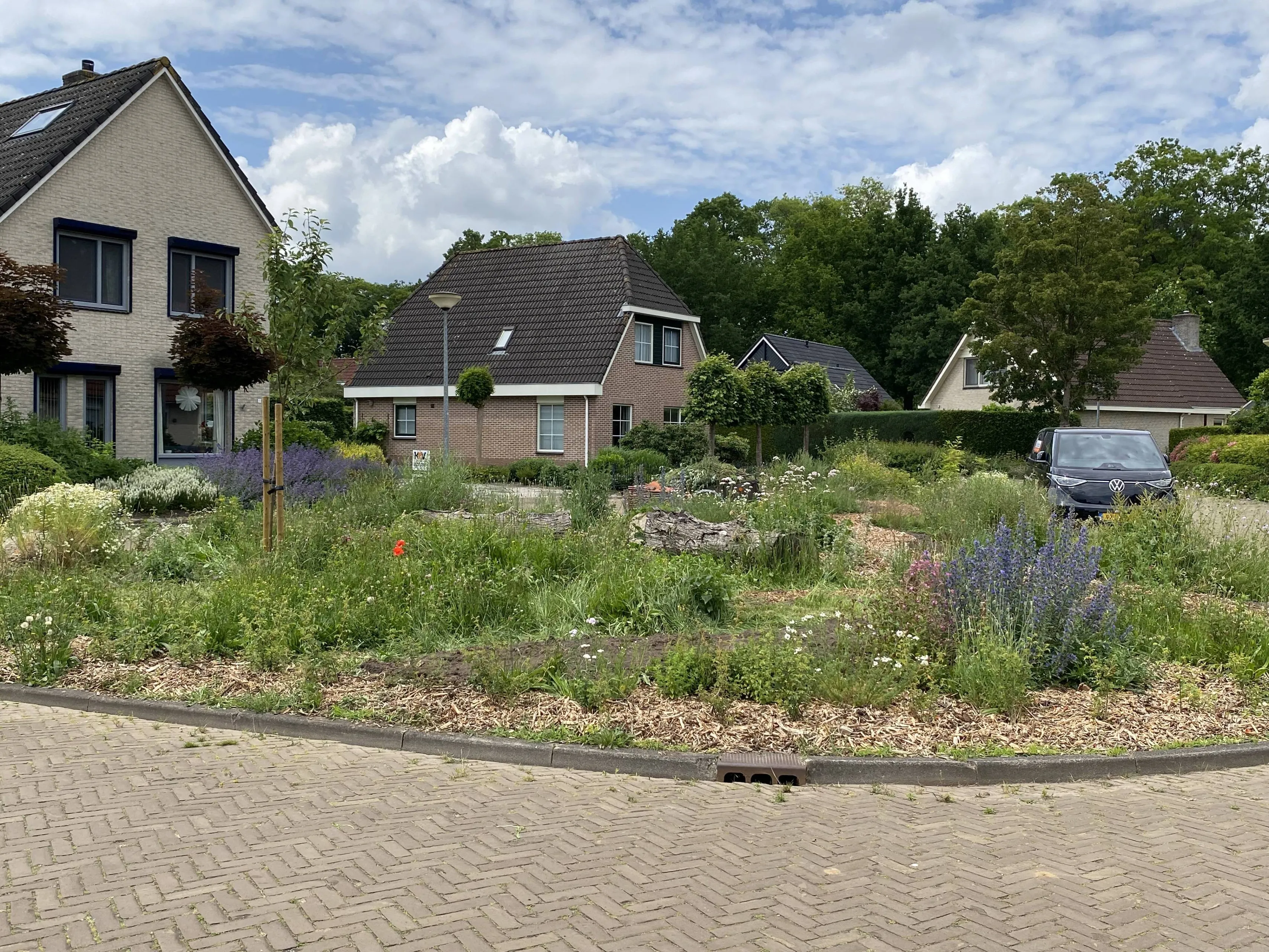 vledder de ecotuin aan t beusje in vledder