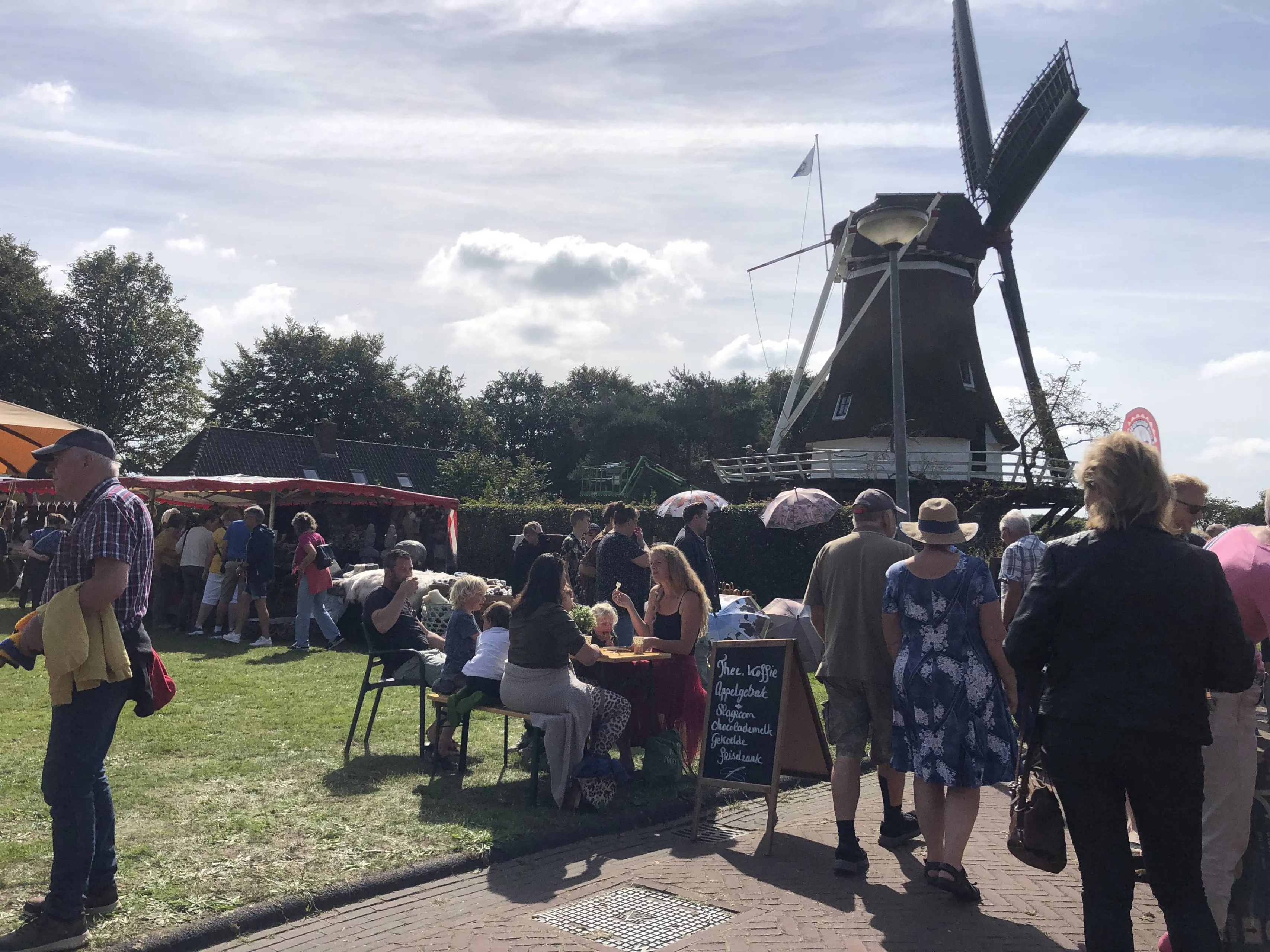 Diever Wollig Landleven
