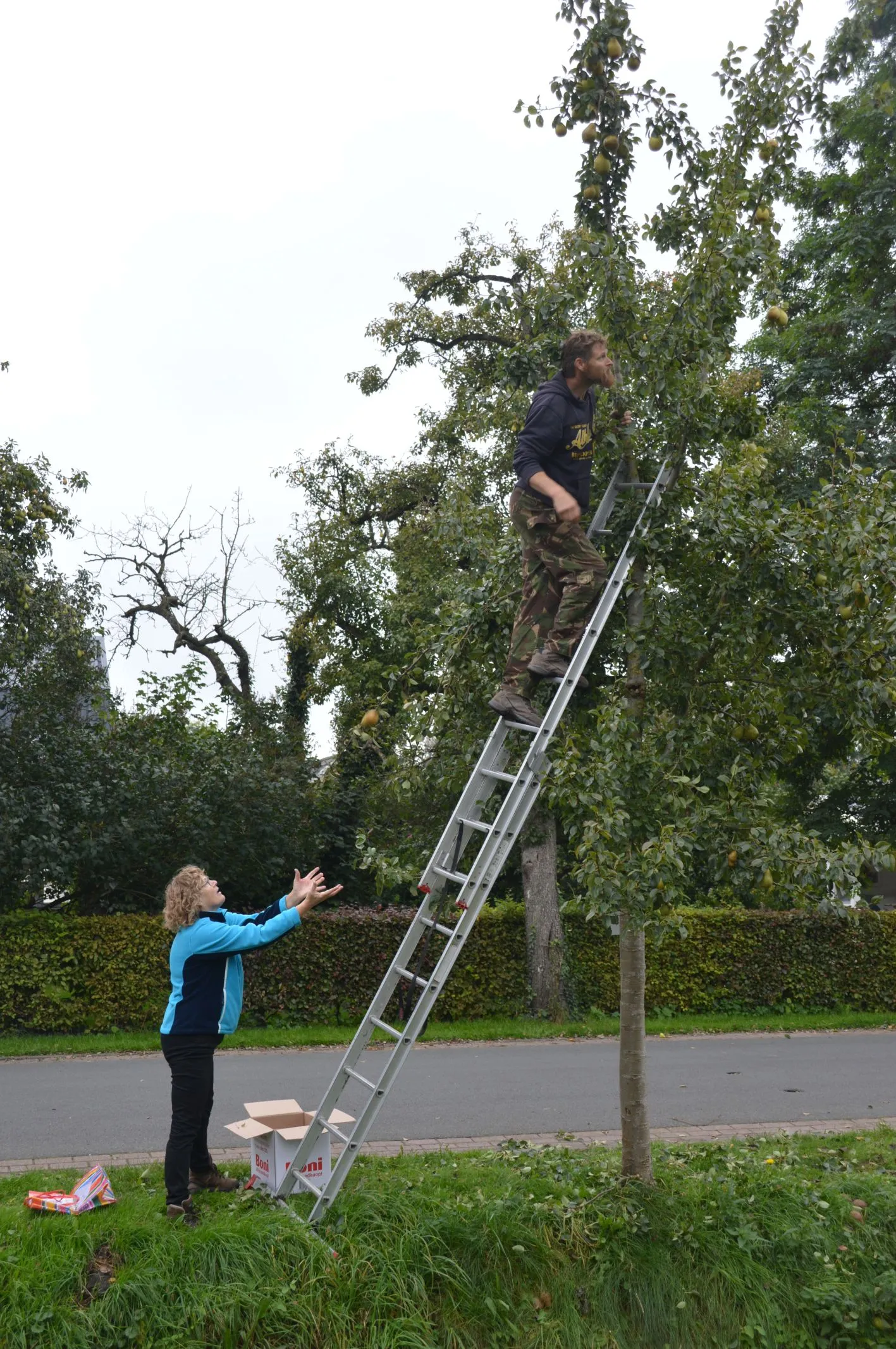 pn03102020-perenpluk35