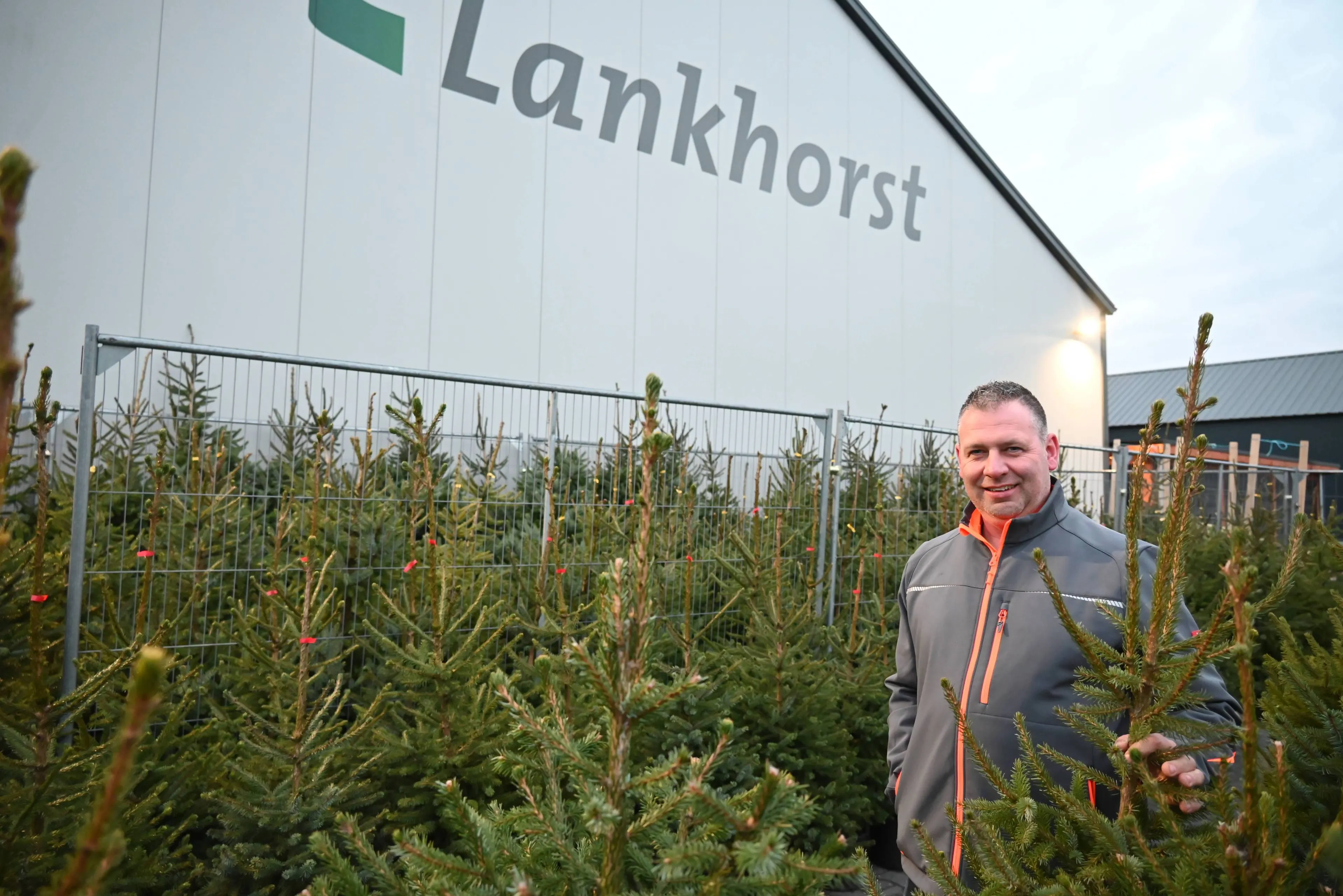 pn18112025 Ruinerwold Ronald Lankhorst kerstbomen2