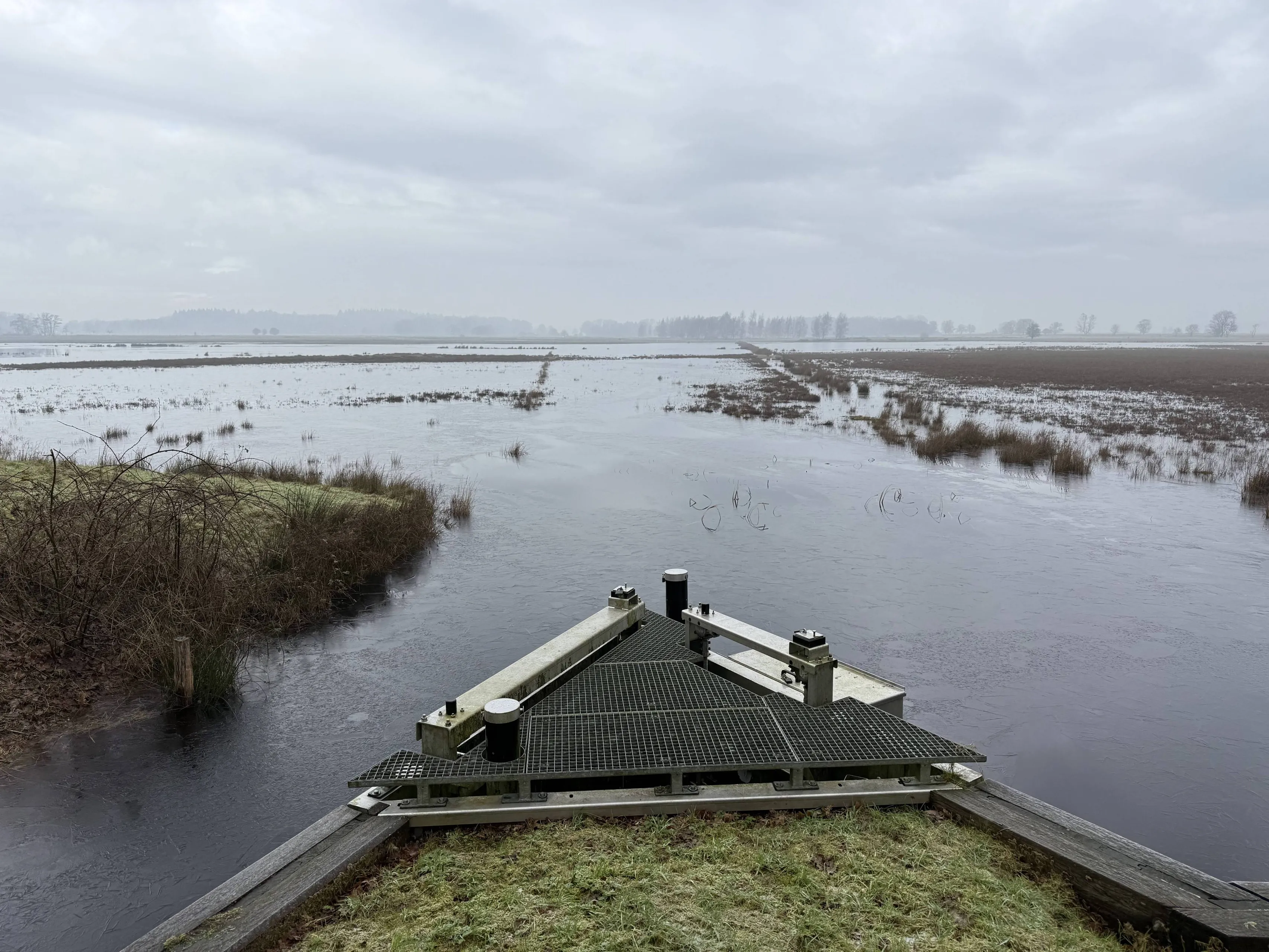 WDOD Ruiner-Aa-december-2025-_4_ (1)