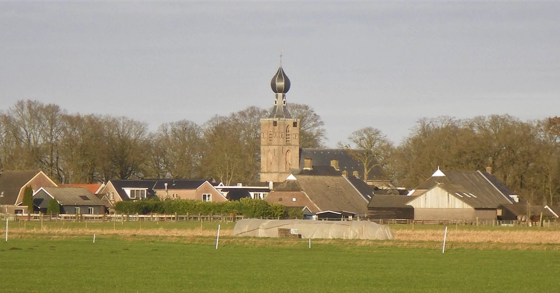 Dwingeloo winterwandeling  (1)