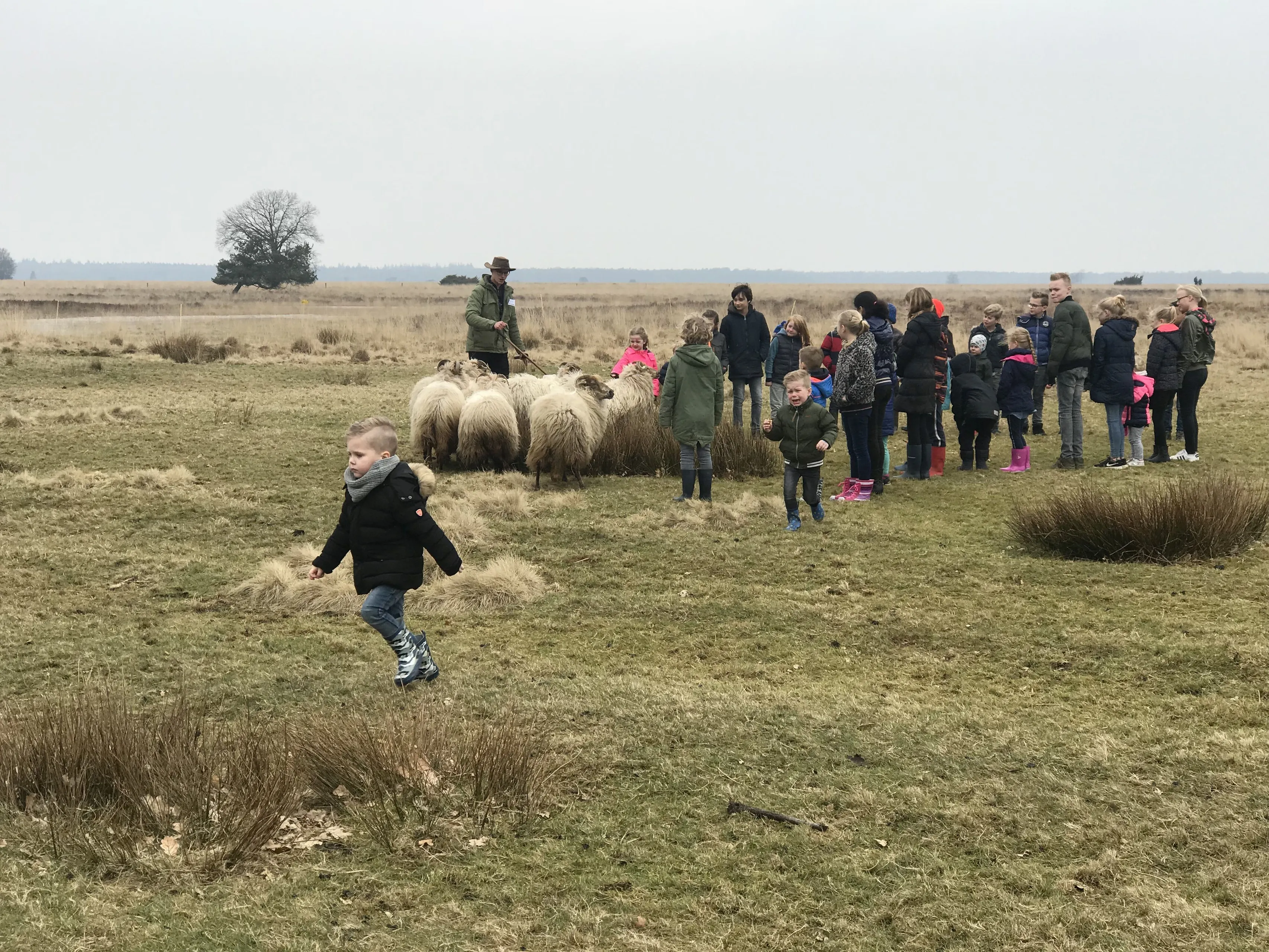 apr-pn02042018-lammetjesdag-ruinen7