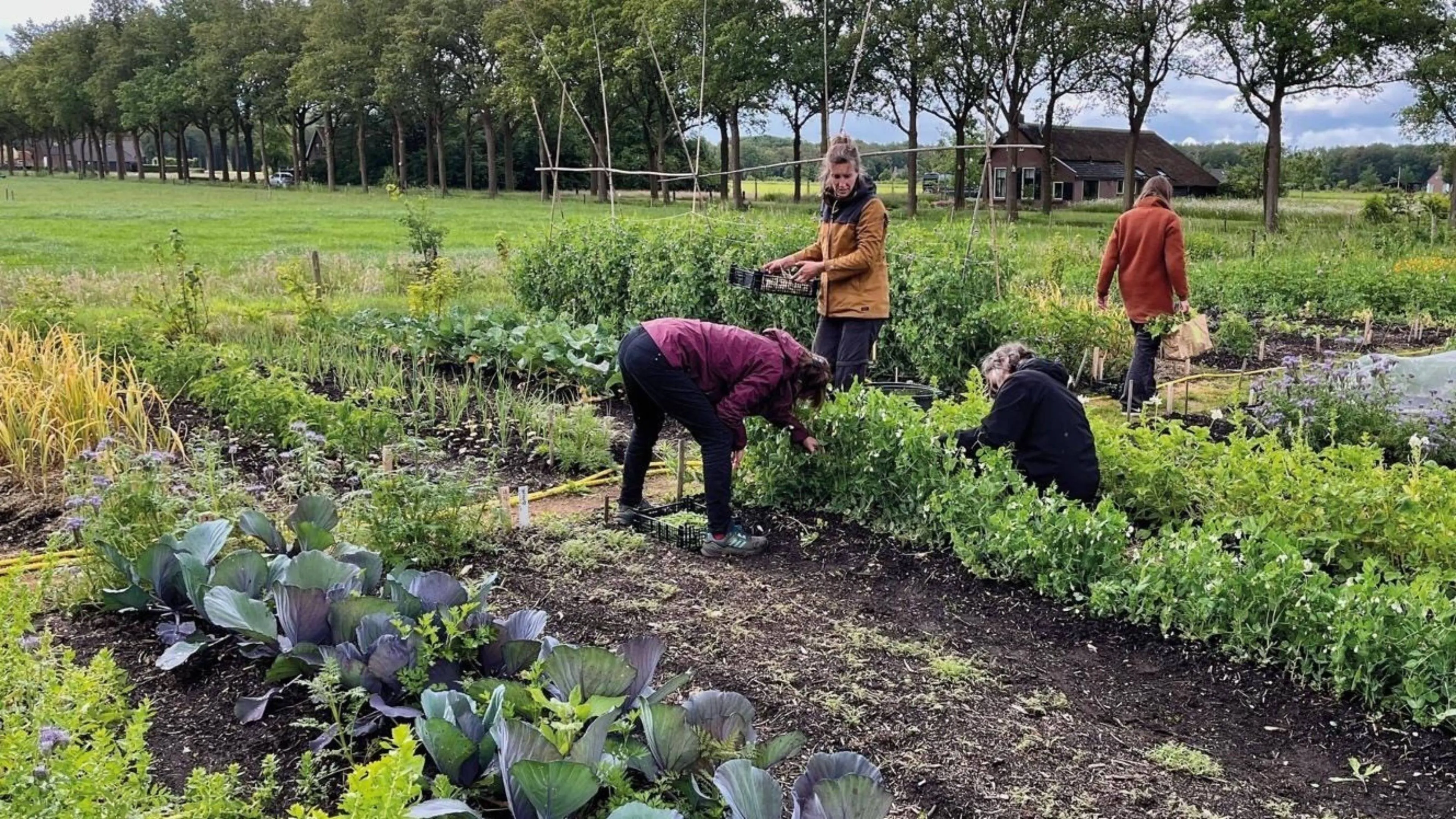 Frederiksoord Voedseltuin Frederiksoord