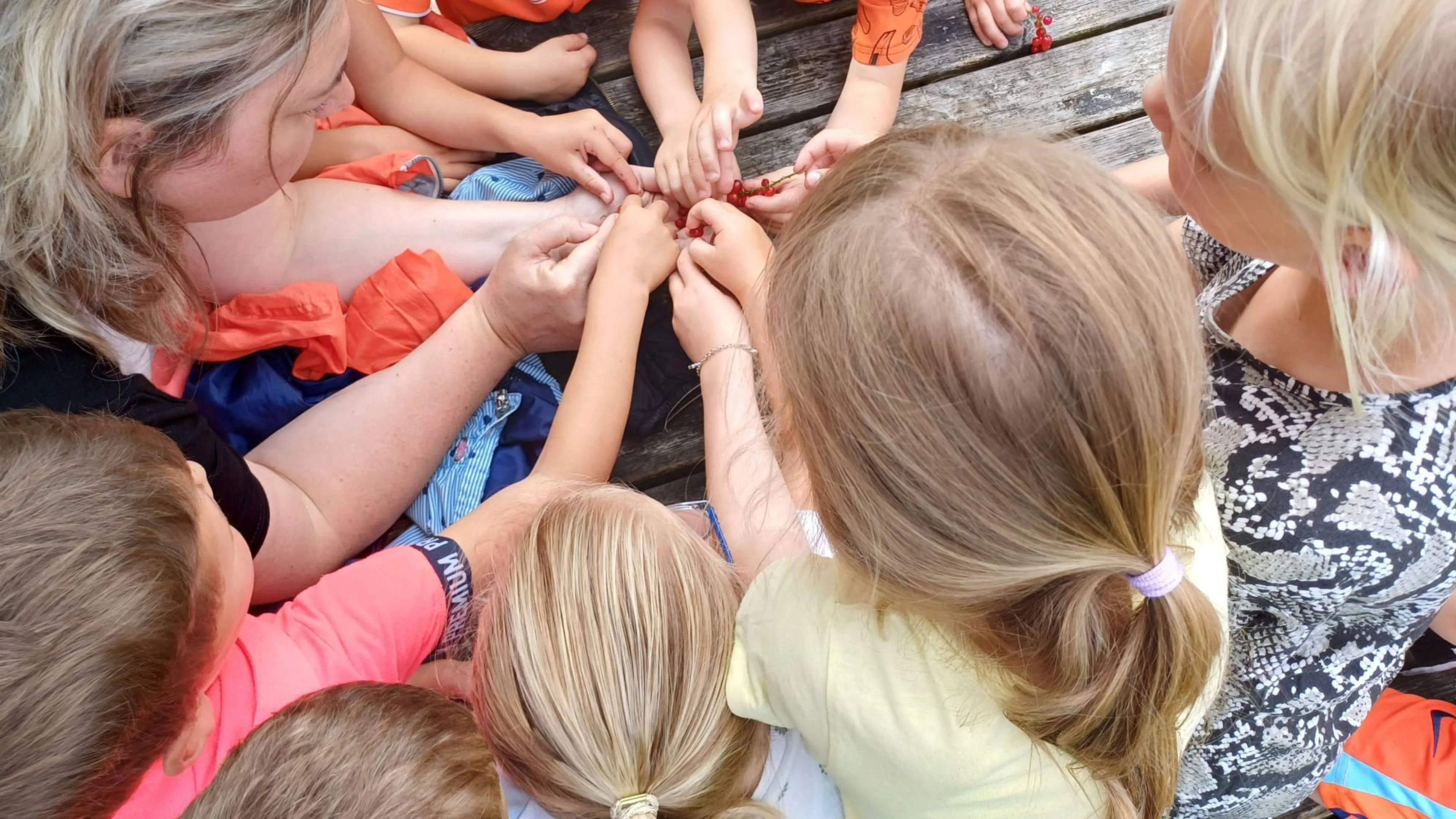 Darp Kinderhandjes Pluimerije Darp