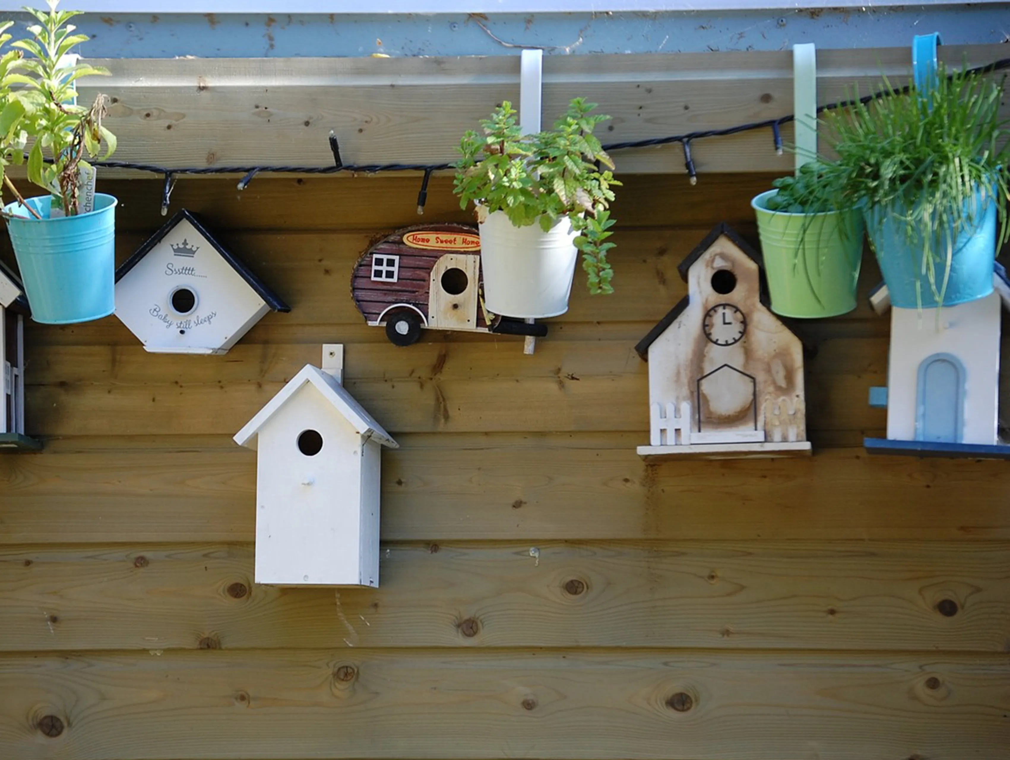 birdhouse