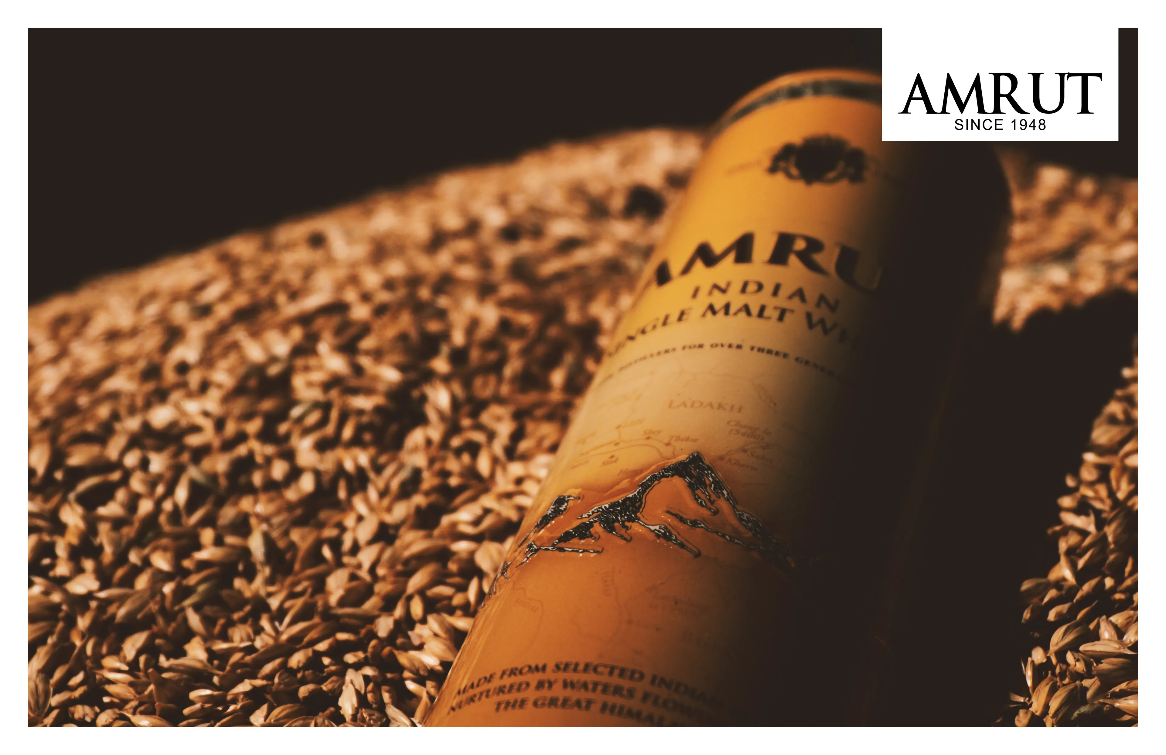 amrut whisky