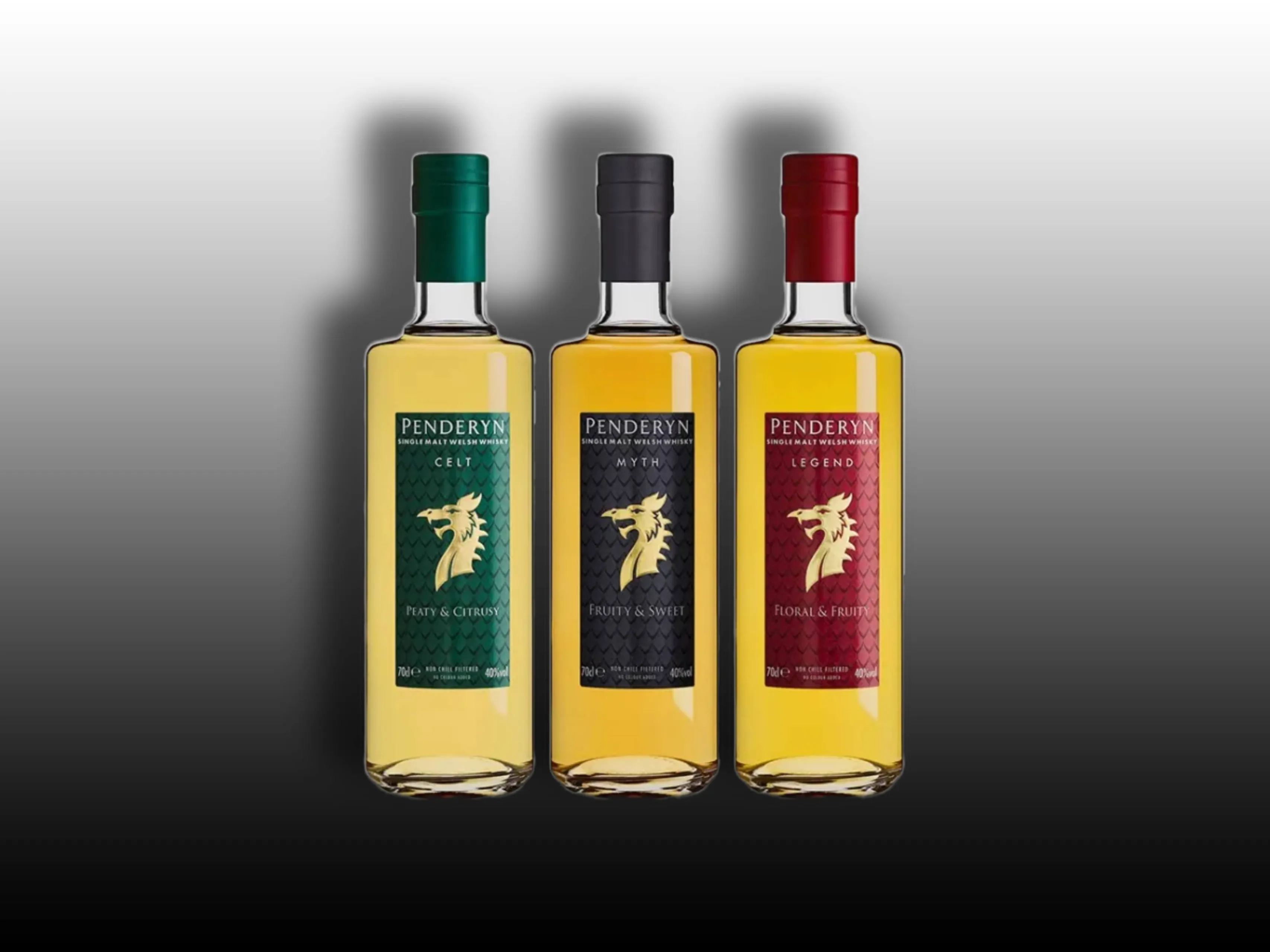 penderyn dragon series